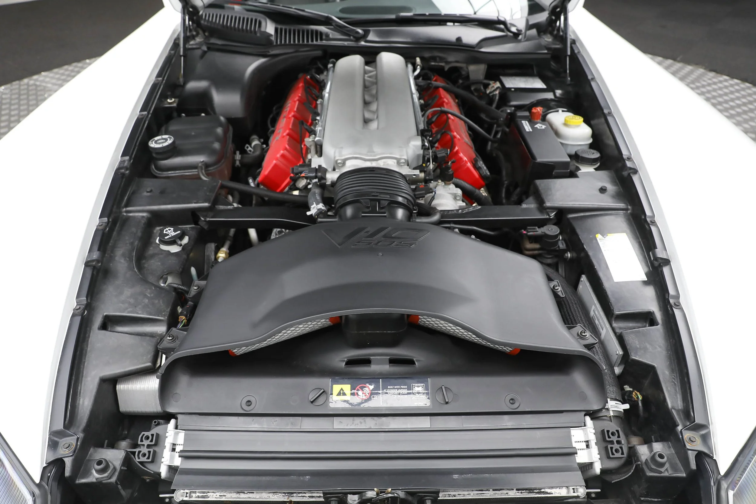 5L2A0448.jpg