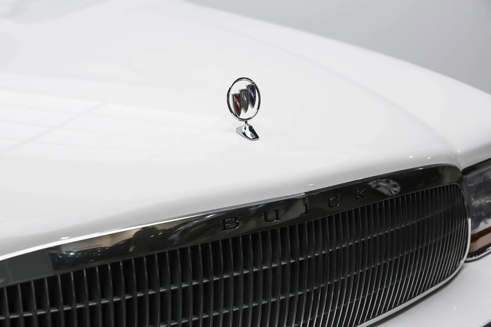 ROADMASTER (50).jpg