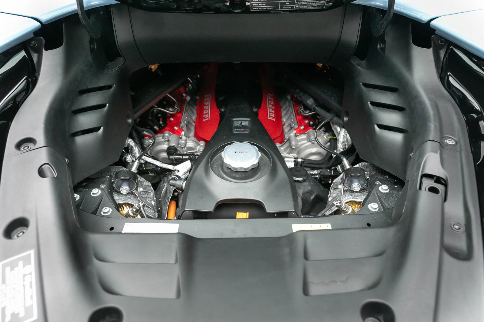 5L2A5215.jpg