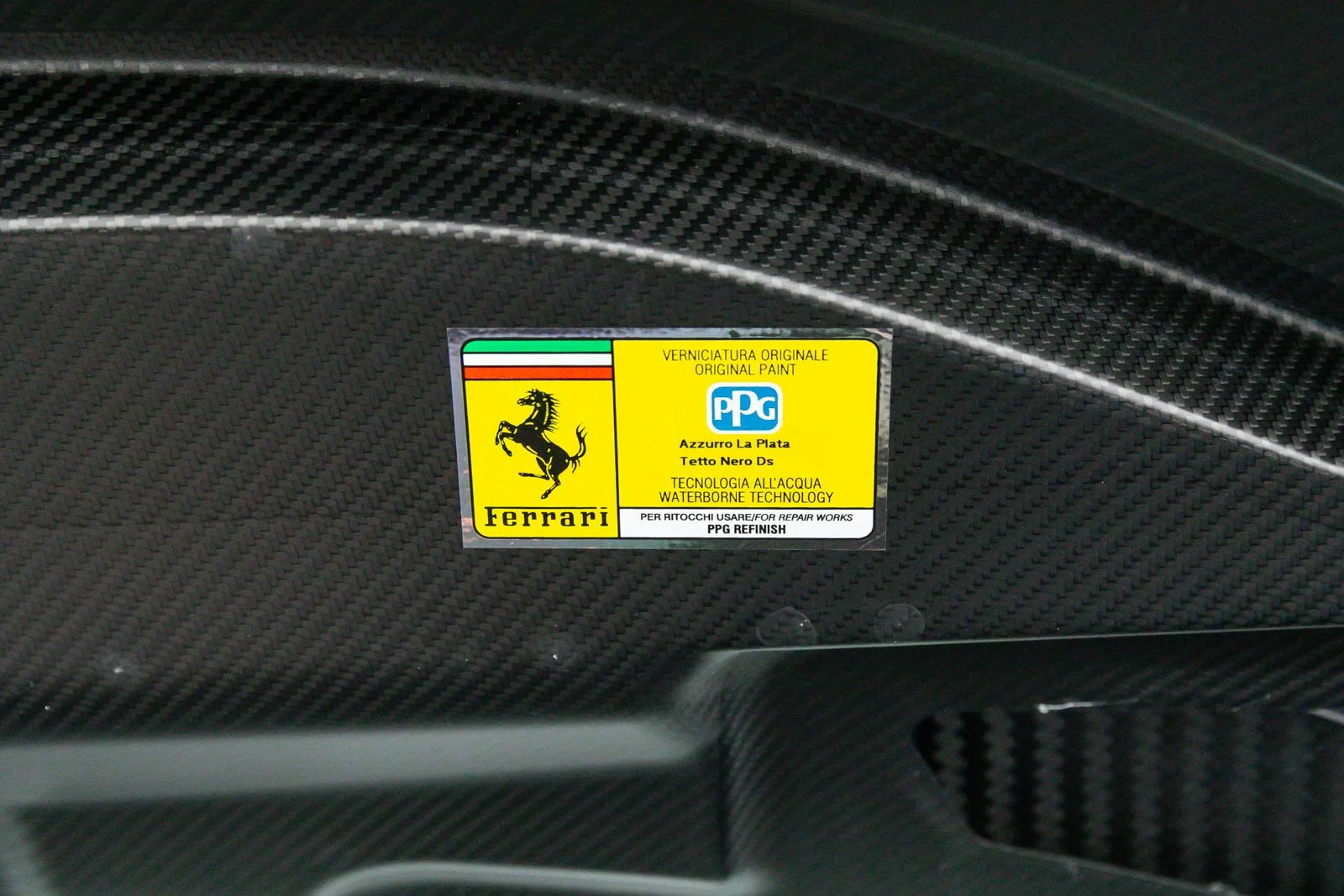 5L2A5233.jpg