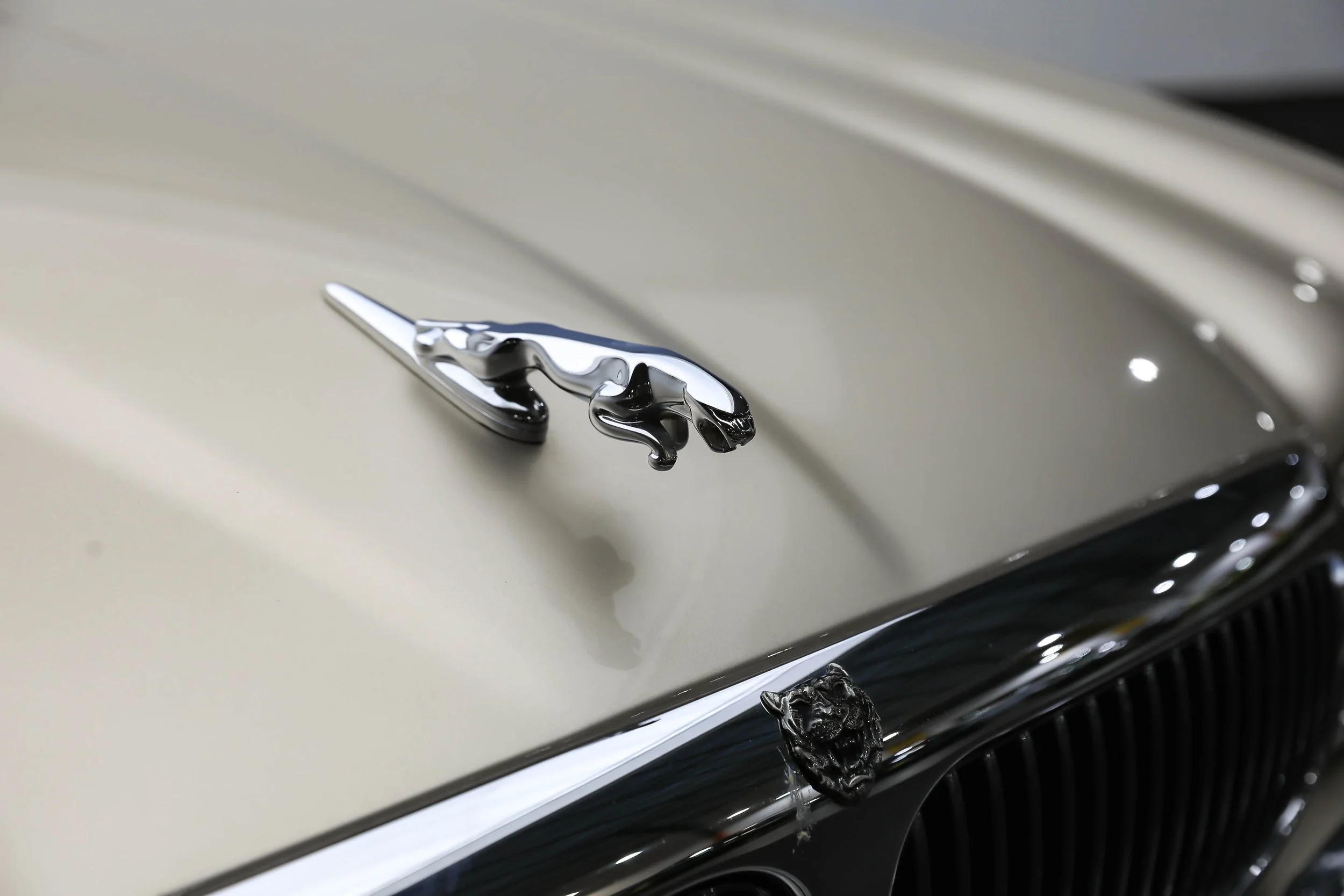 RB JAG (49).jpg