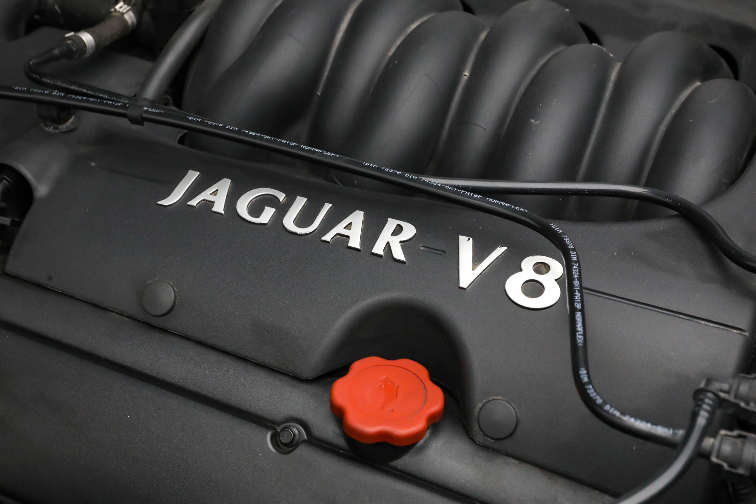 RB JAG (63).jpg