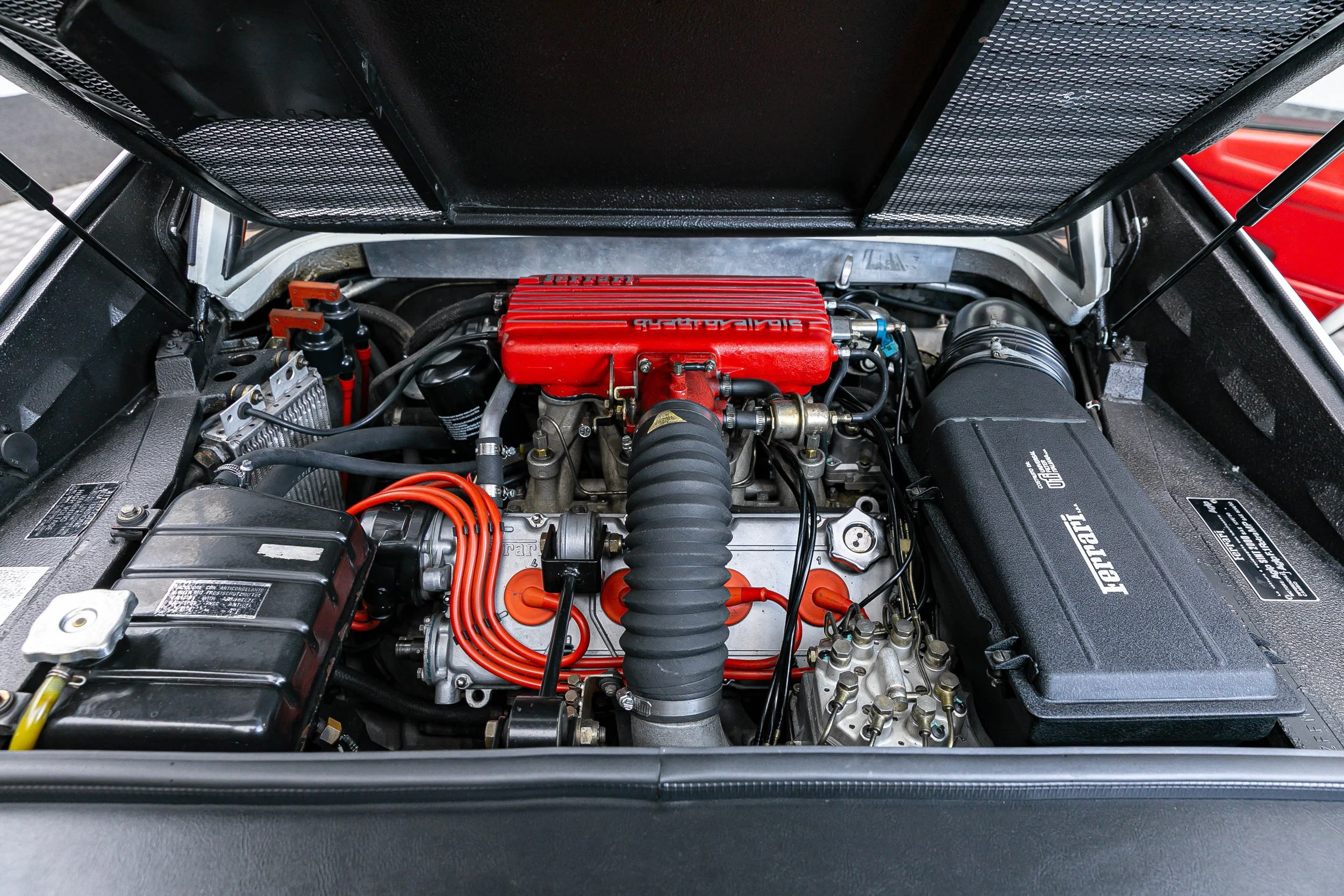 308 (33).jpg