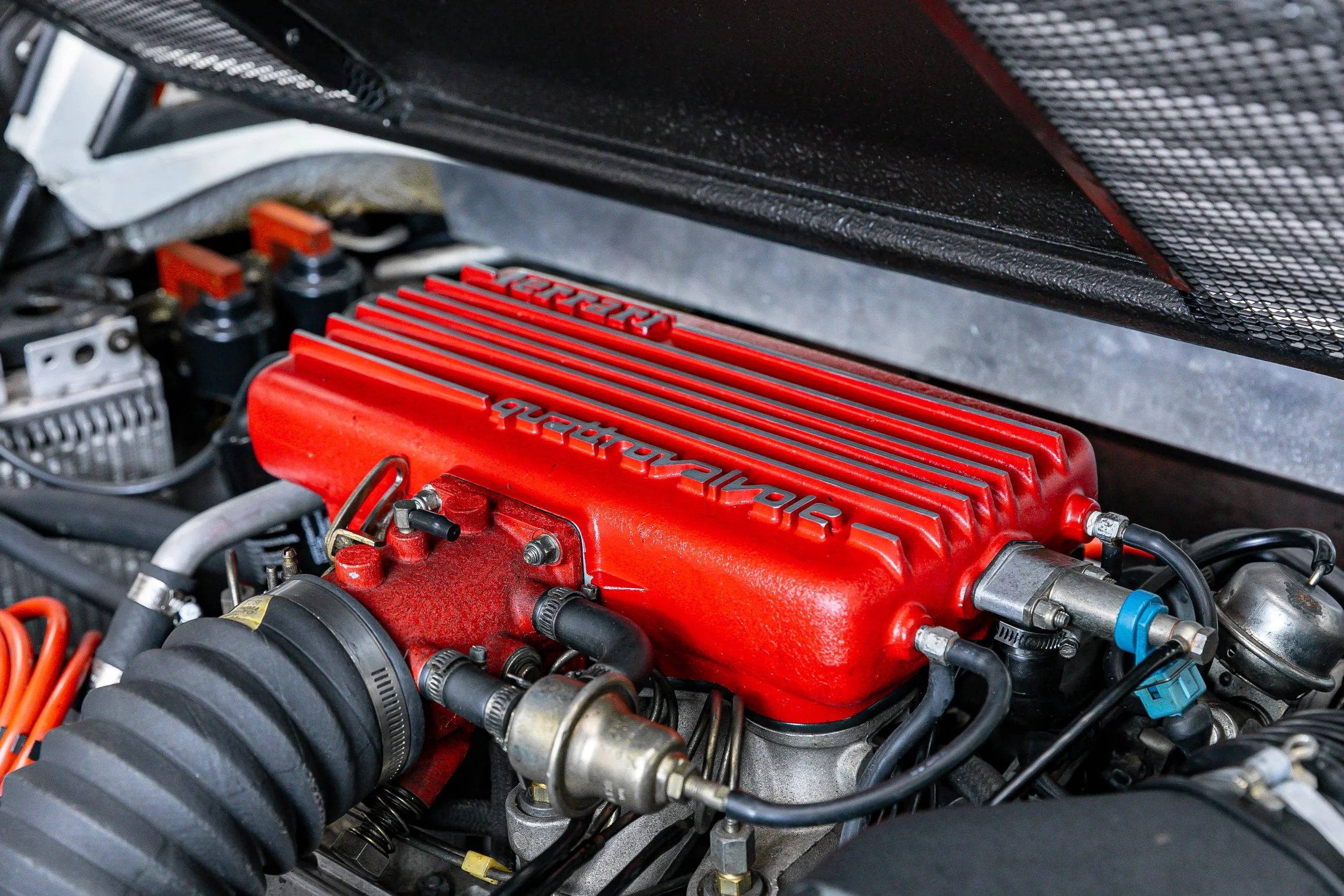 308 (36).jpg
