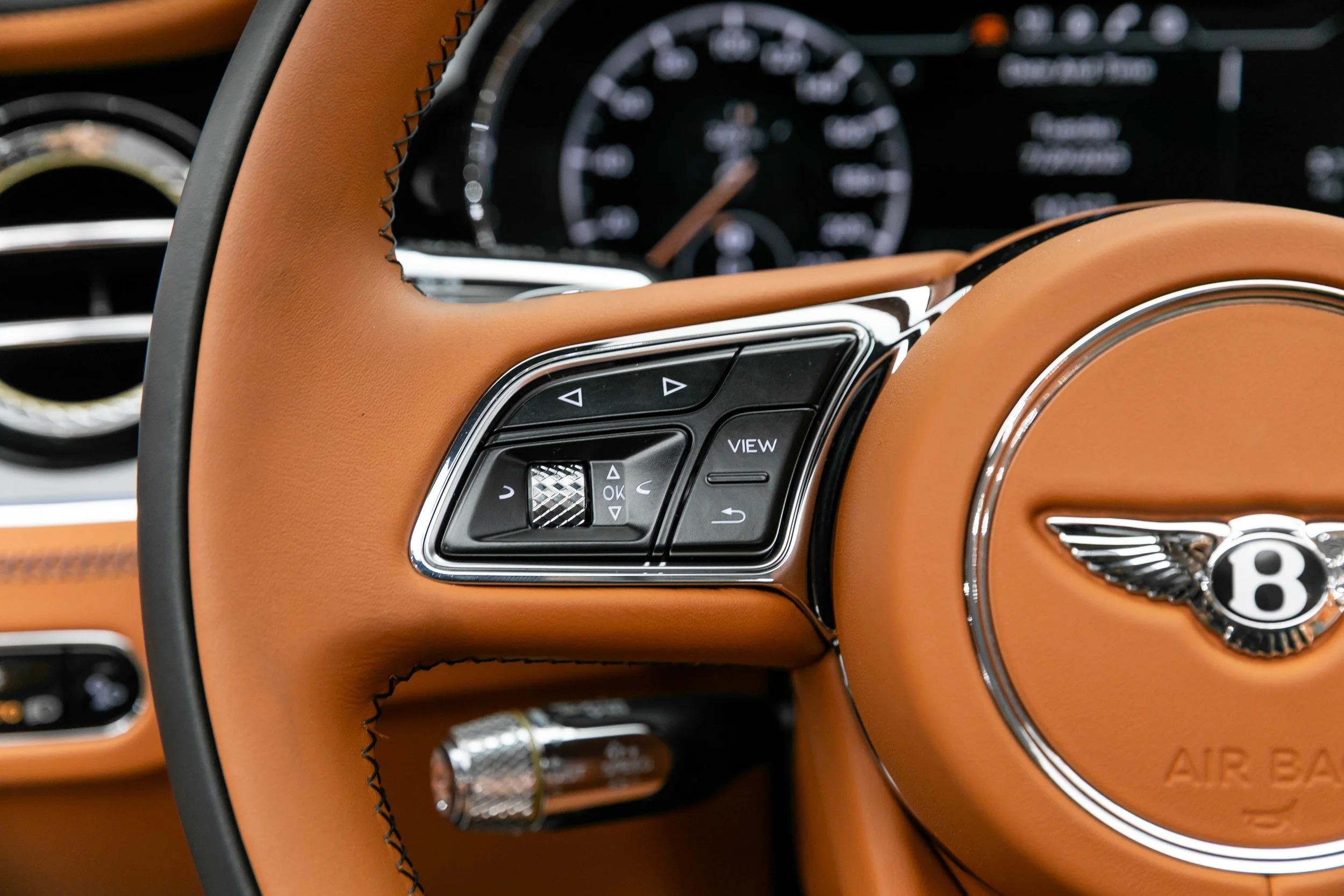 BENTLEY (16).jpg
