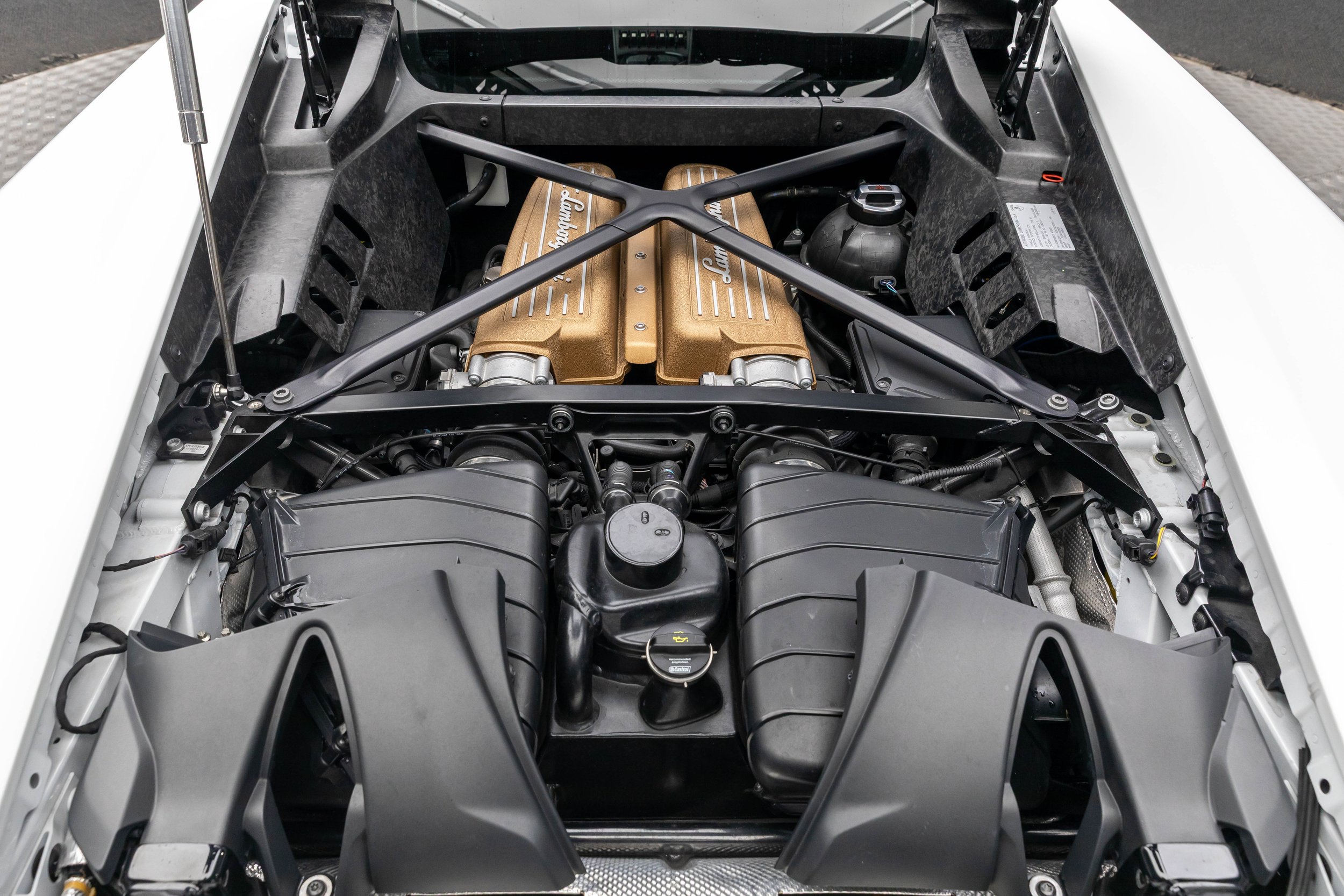 5L2A2286.jpg