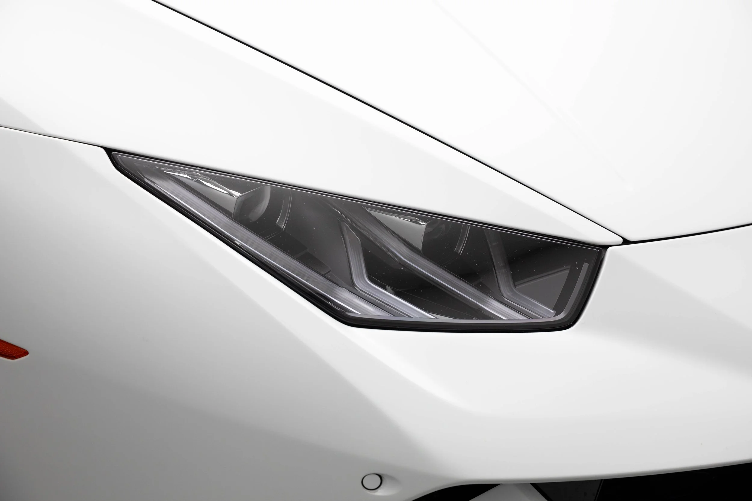 5L2A2308.jpg