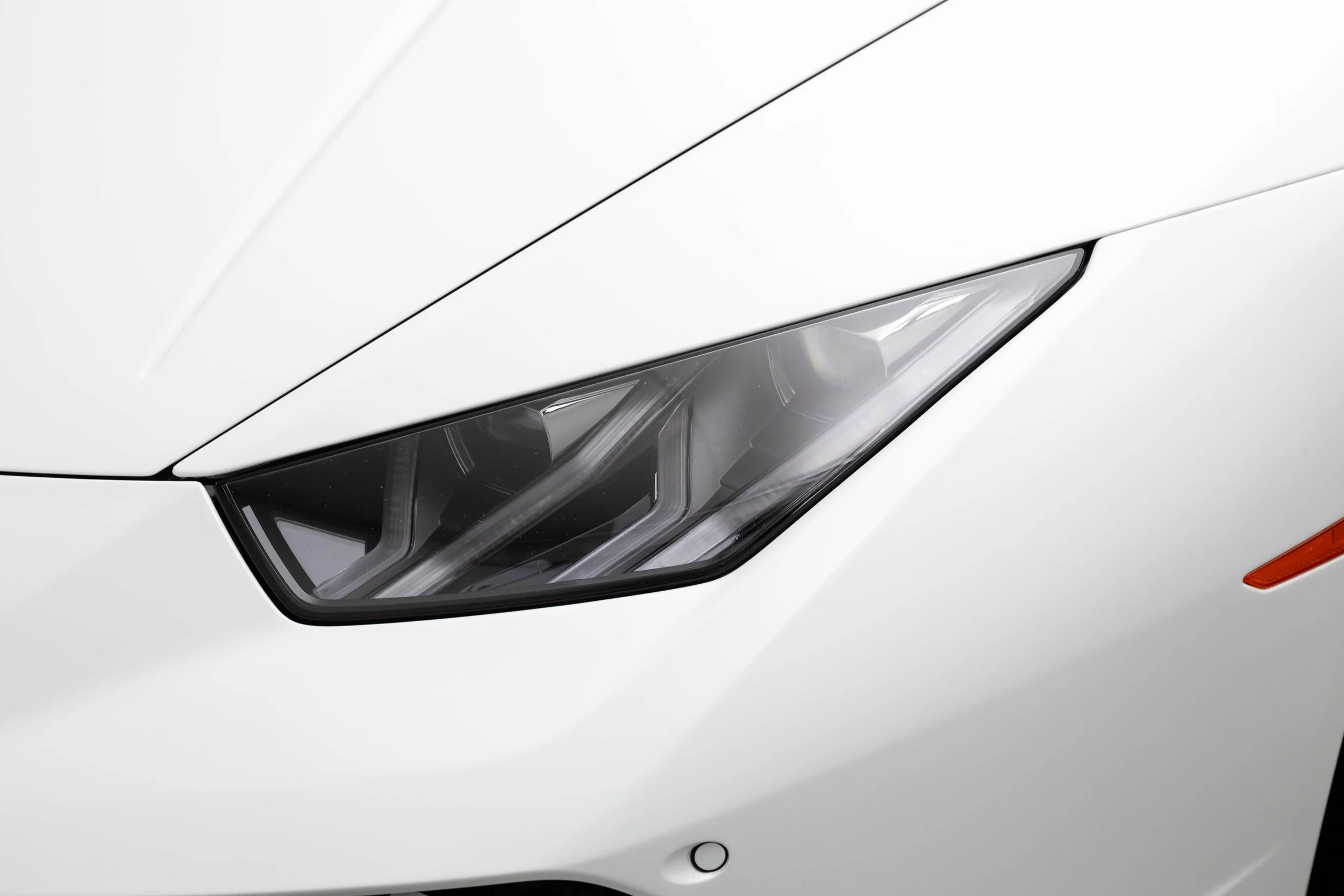 5L2A2309.jpg