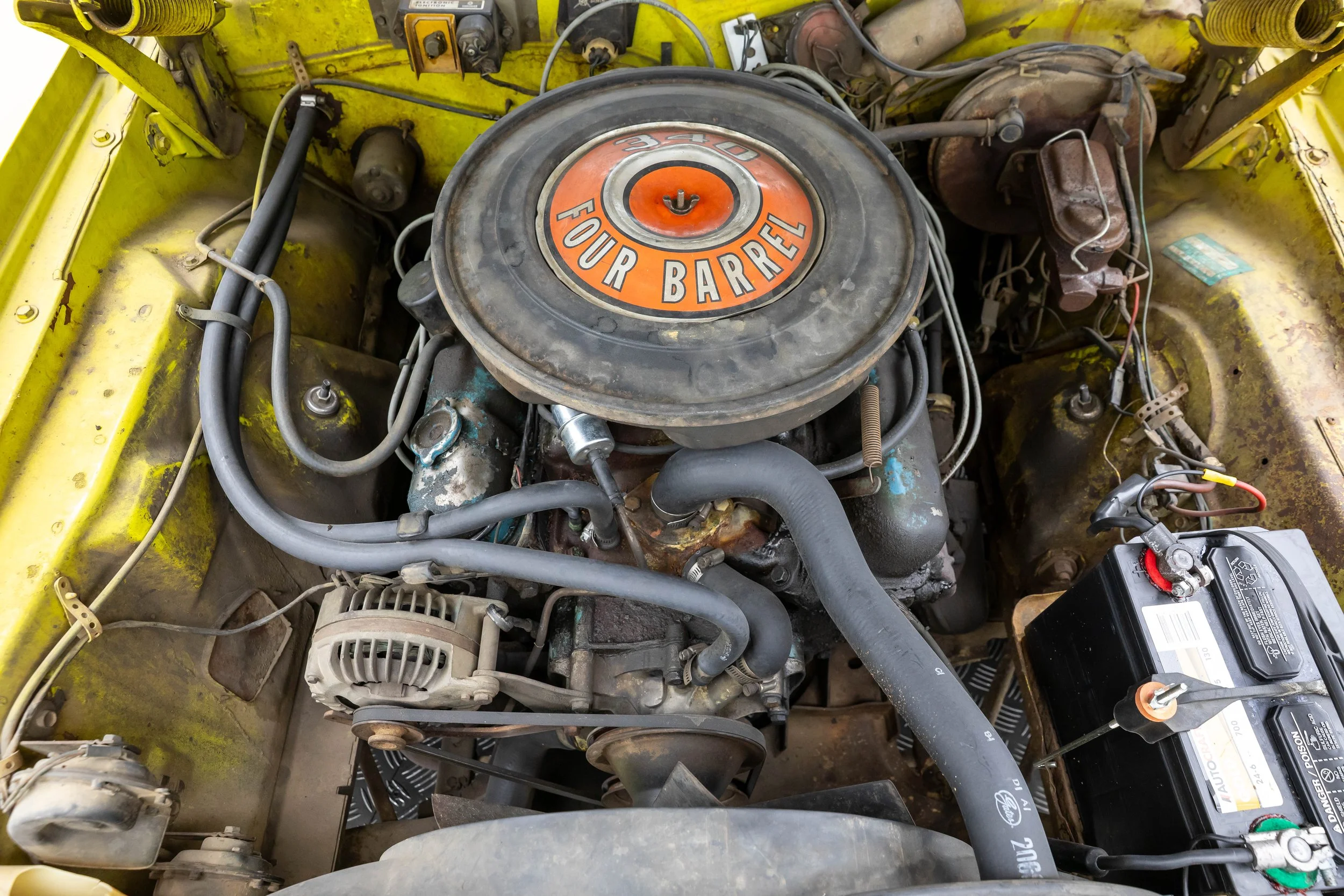 5L2A1045.jpg