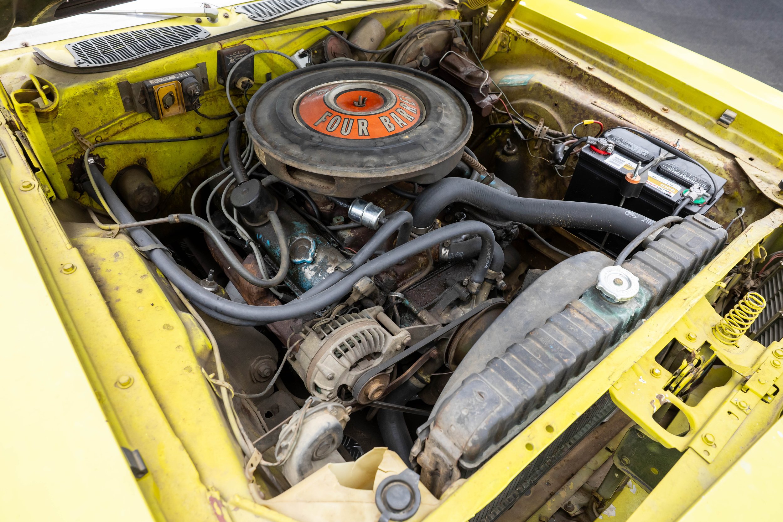 5L2A1046.jpg