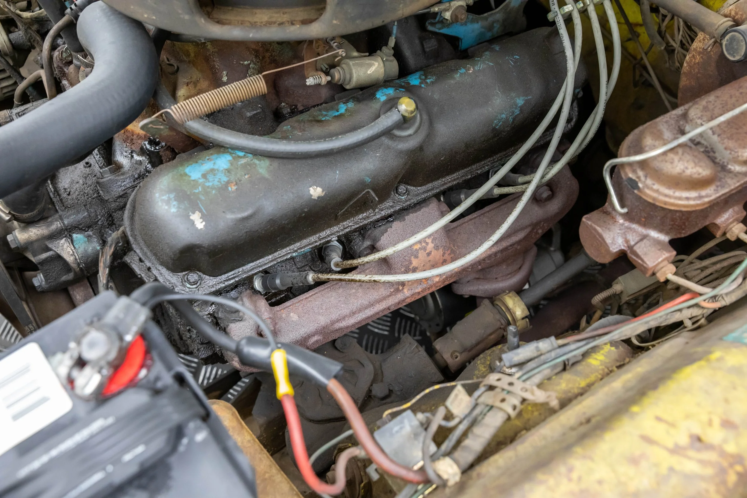 5L2A1052.jpg