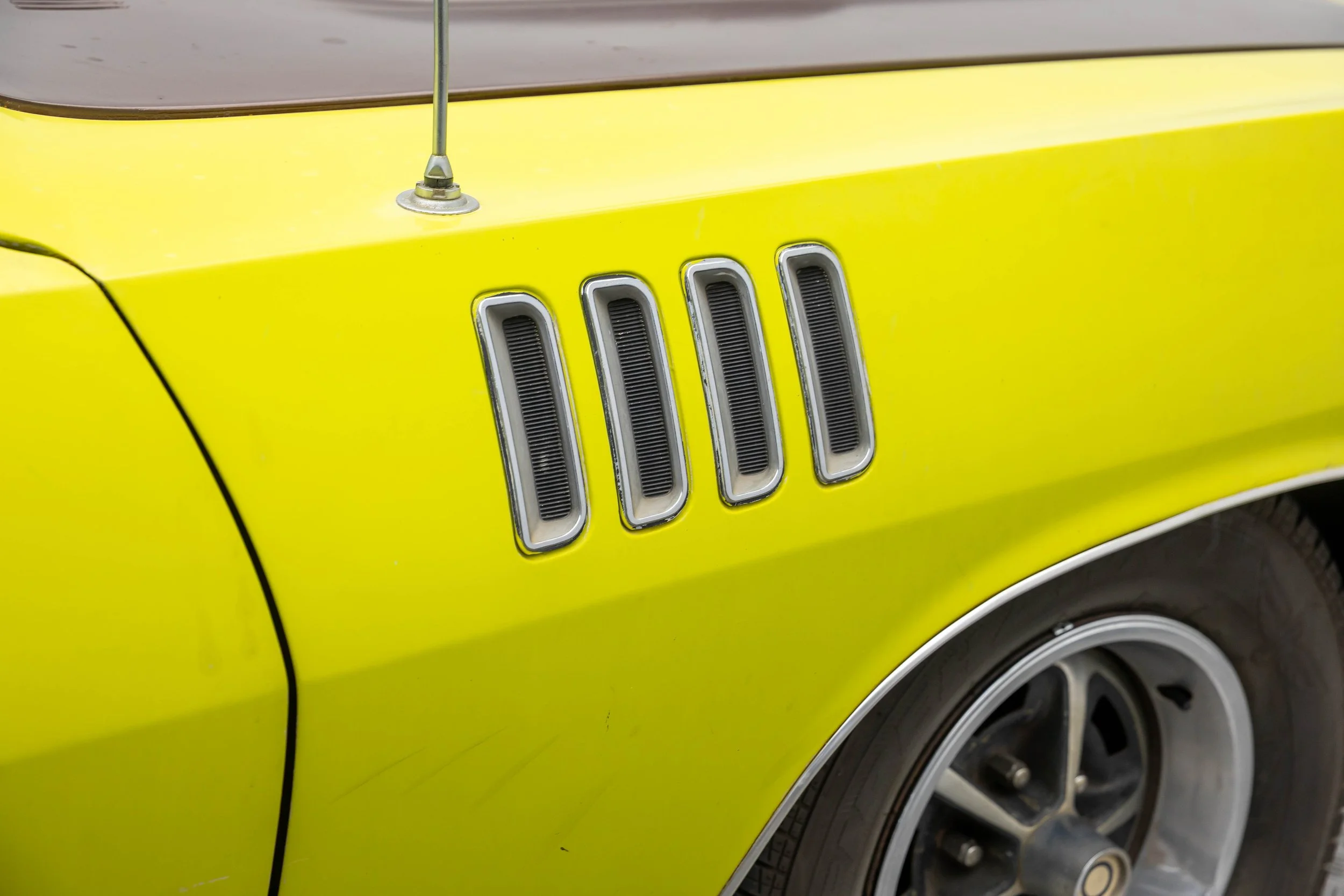 5L2A1067.jpg