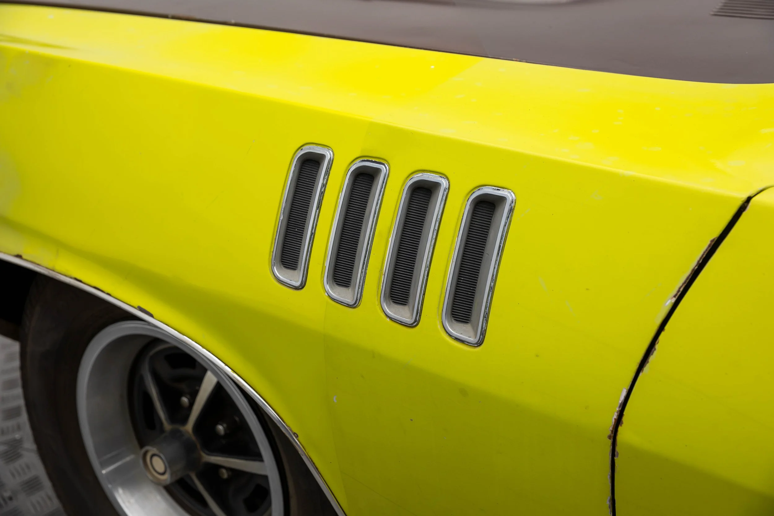5L2A1070.jpg