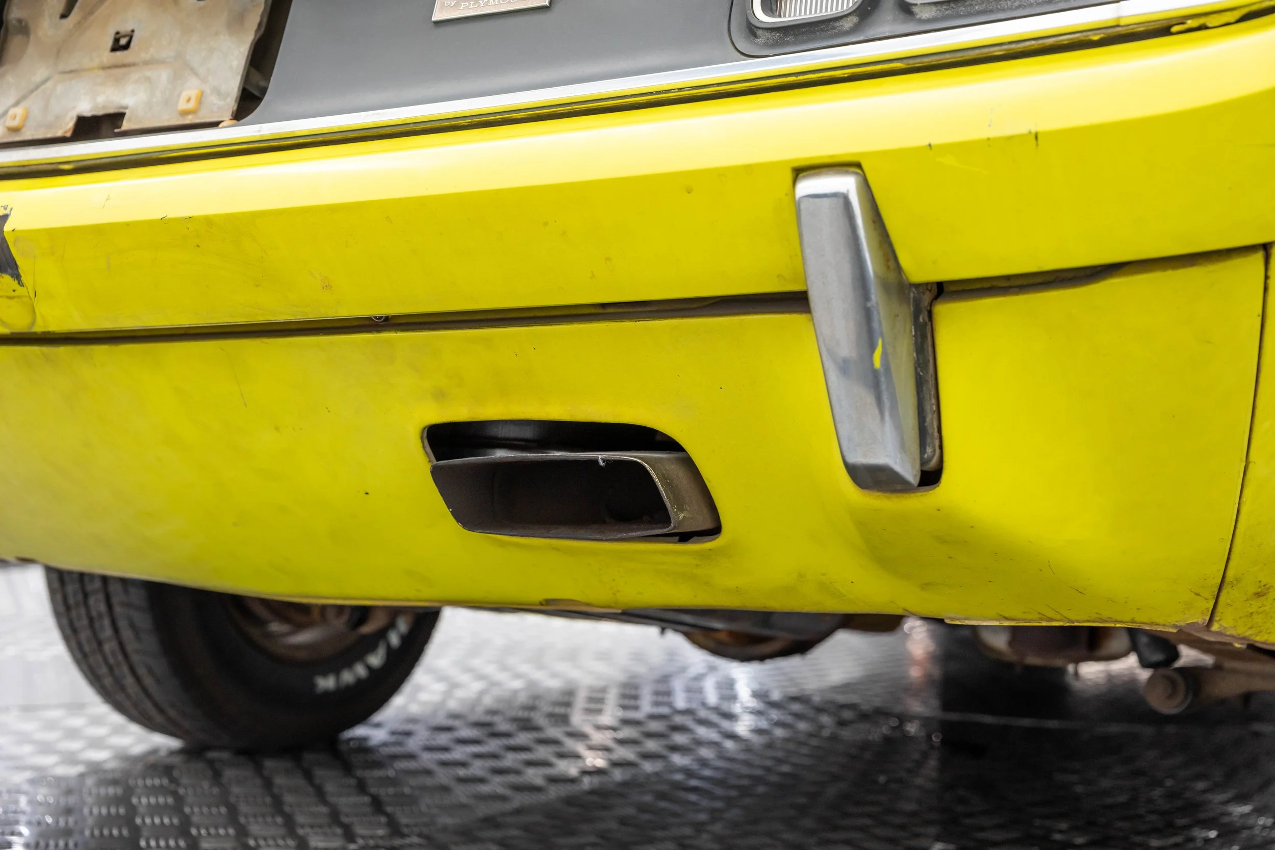 5L2A1116.jpg