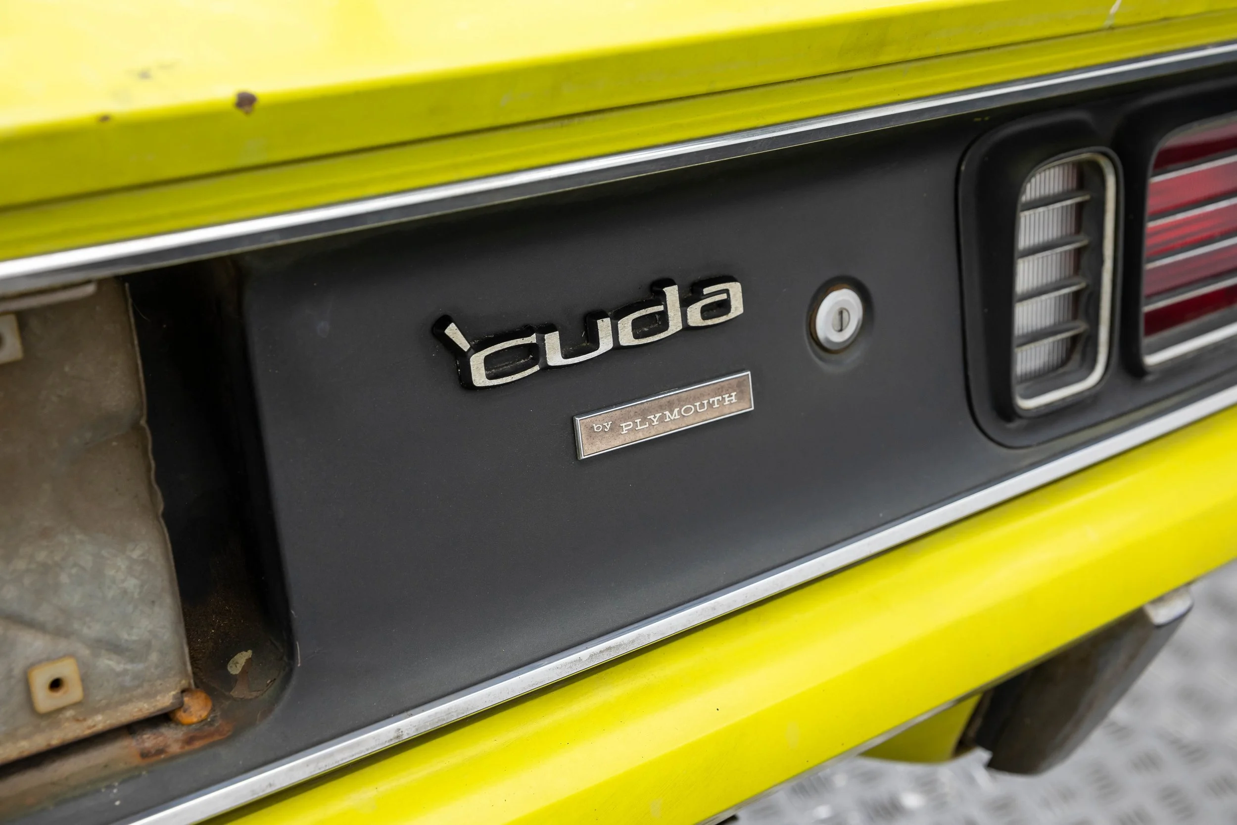 5L2A1118.jpg