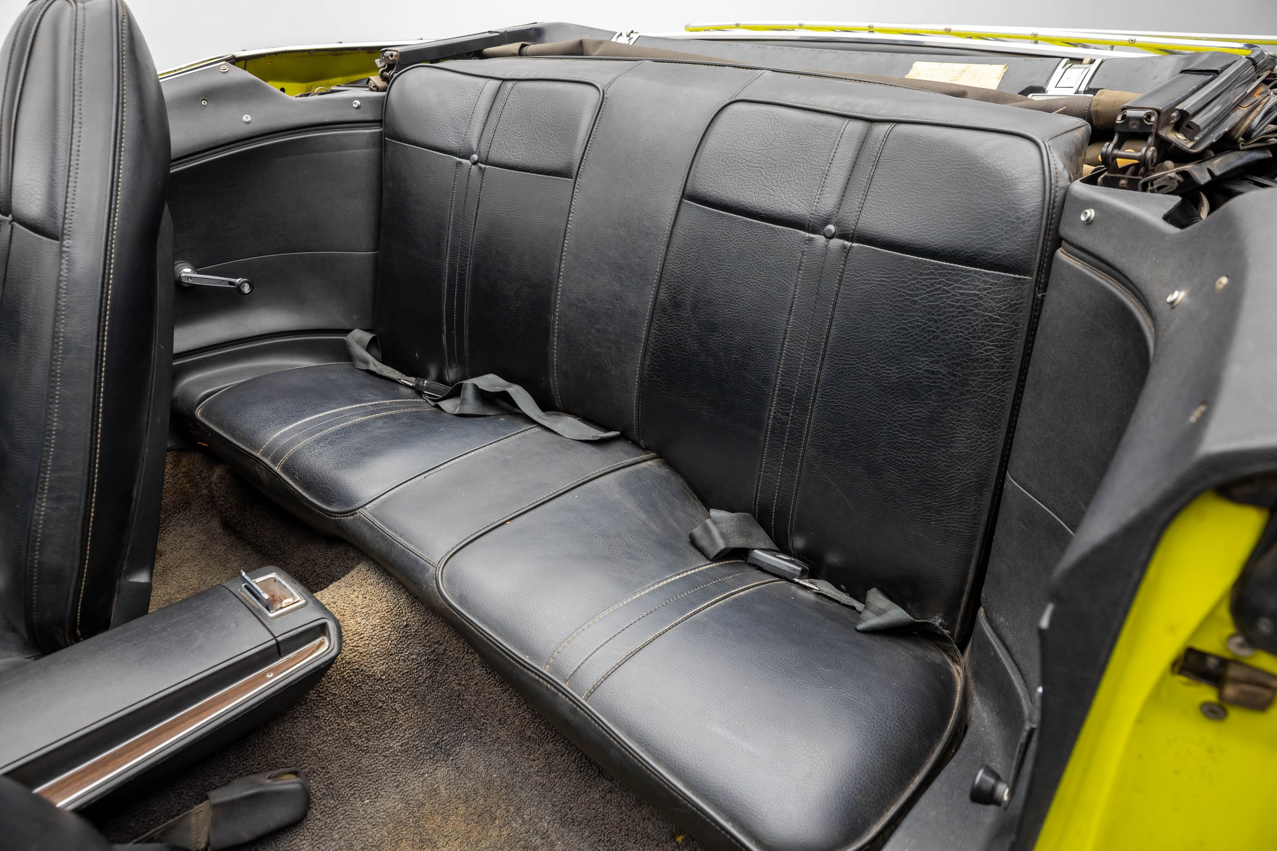 5L2A1128.jpg