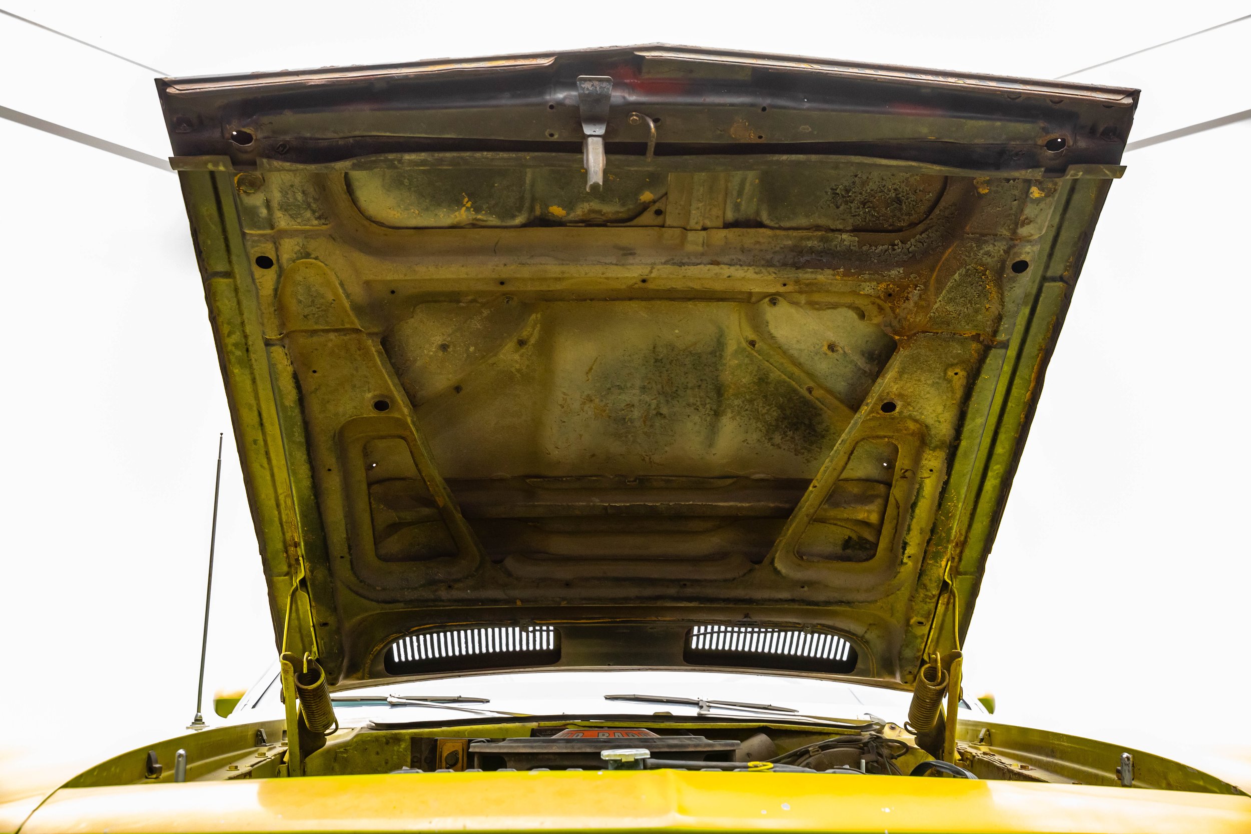 5L2A1139.jpg