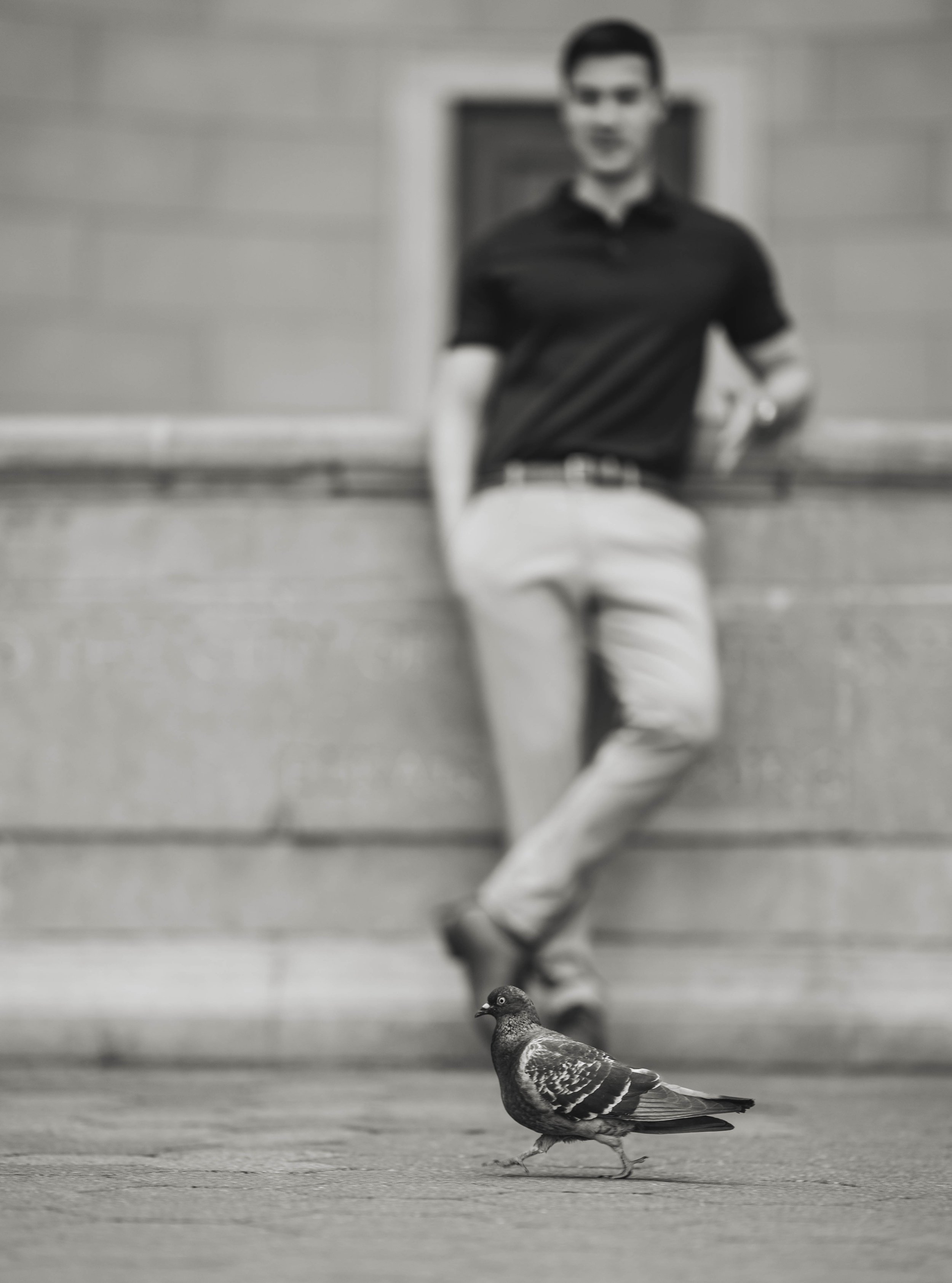 Central-park-new-york-city-engagement-wedding-photographer-photos-joel-zar-photography-63.jpg