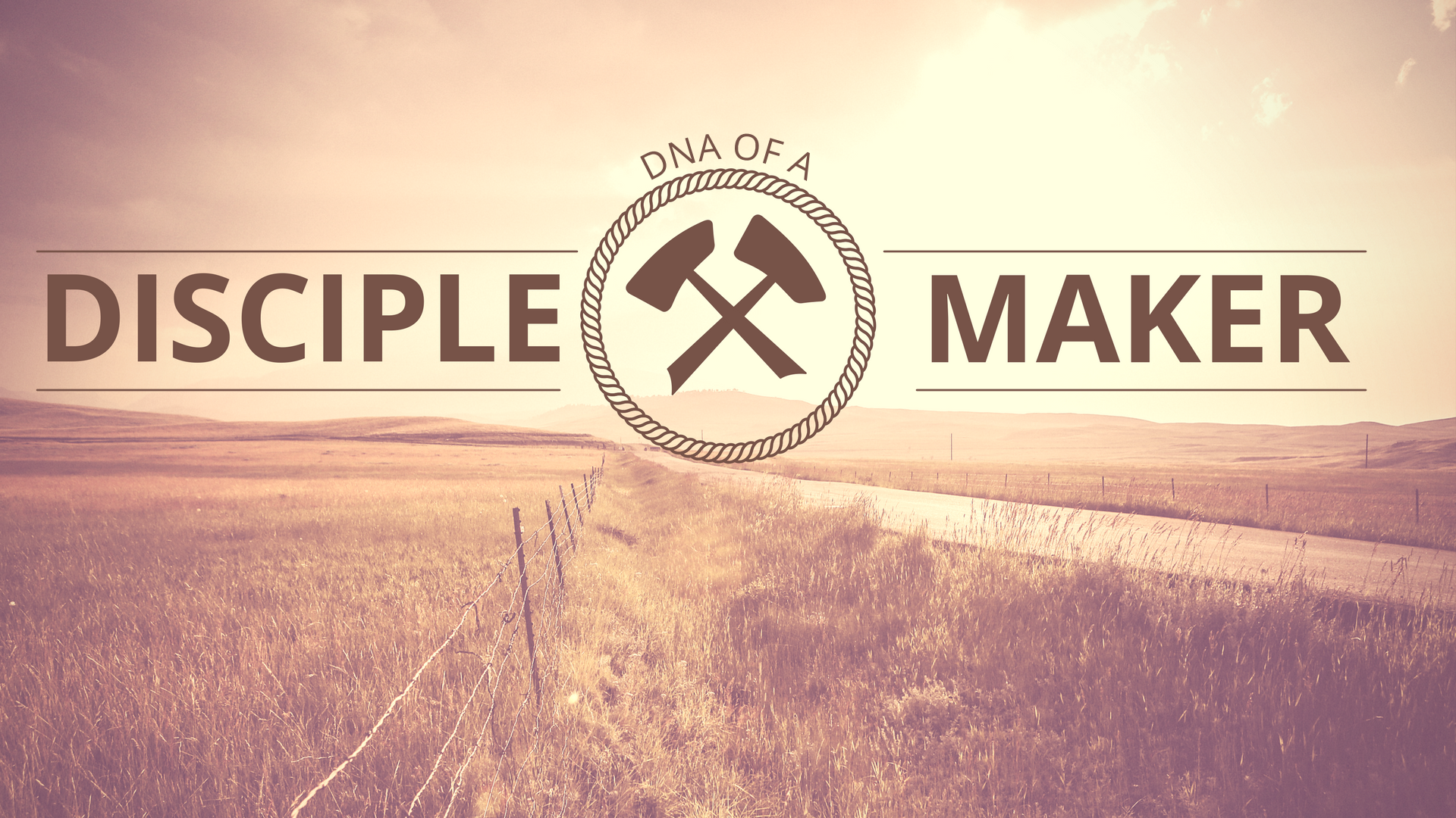 DNA of a Disciple Maker.png
