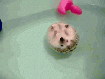 unnamed.gif