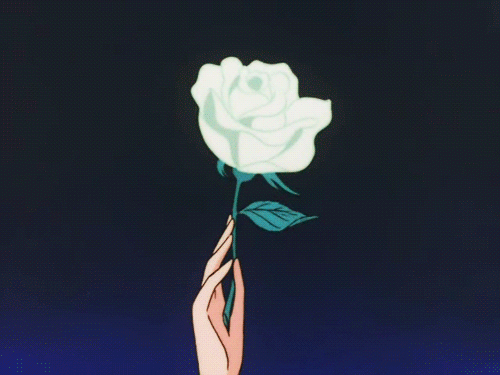 unnamed-1.gif