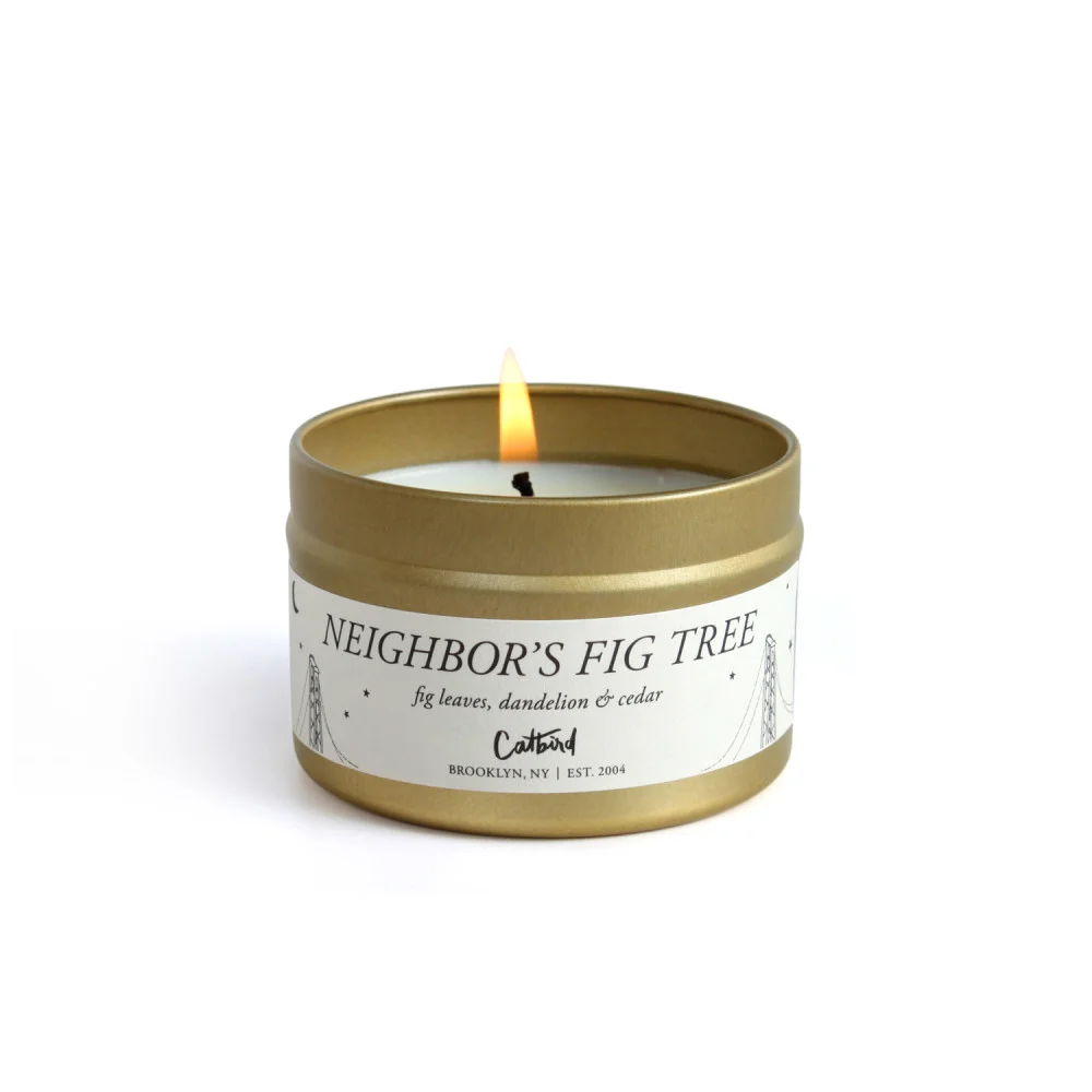 fig travel candle.jpg