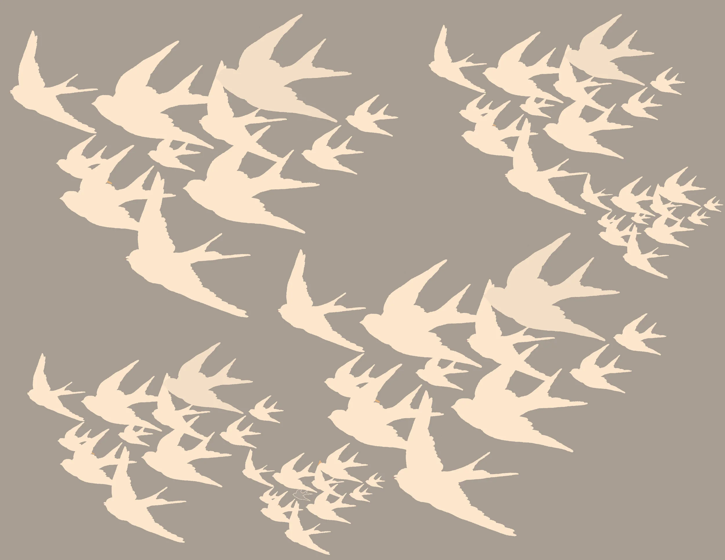 stone_flock.jpg