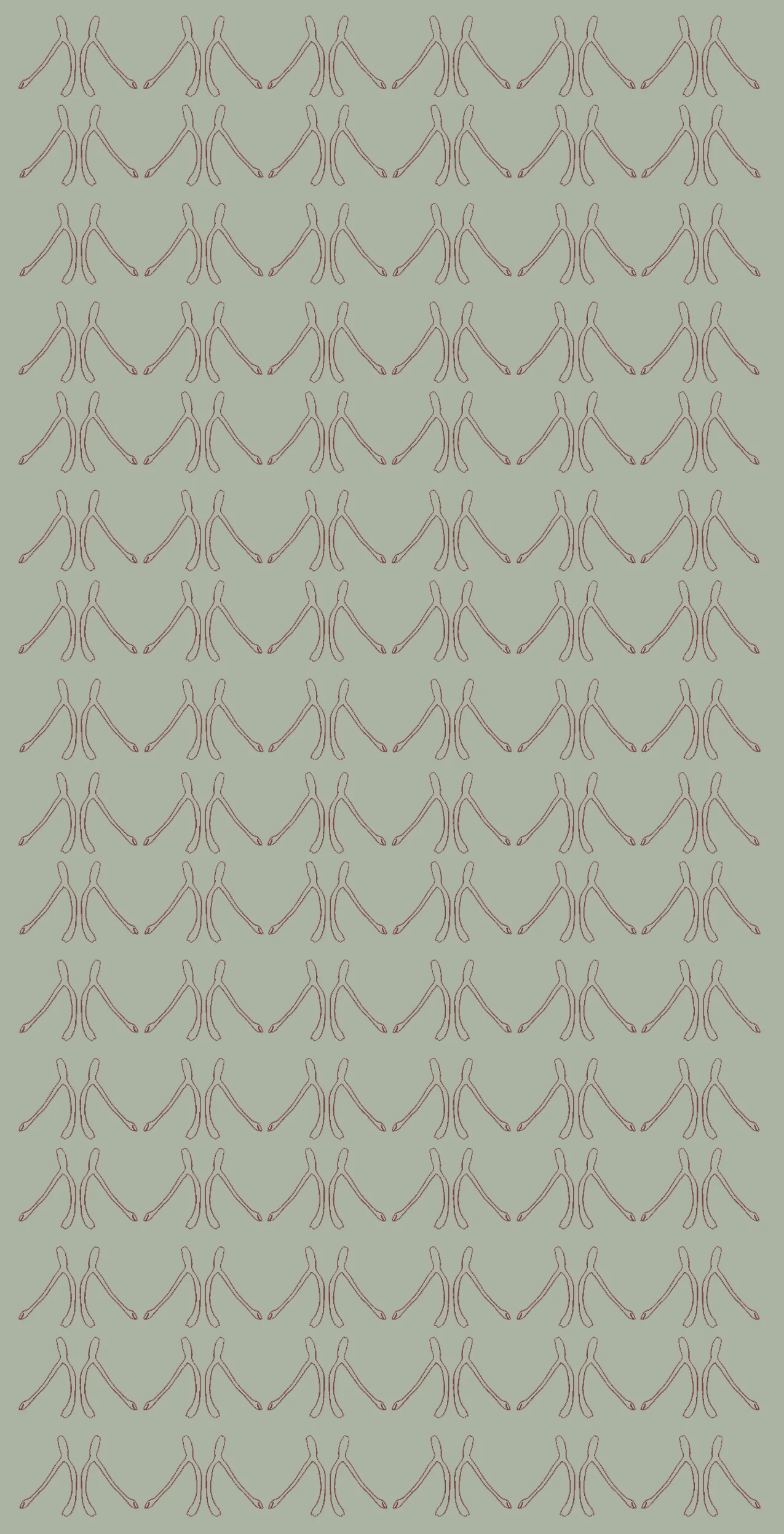 sage_wishbone.jpg