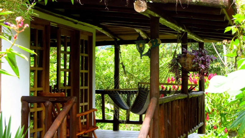 hammock photo new.jpg