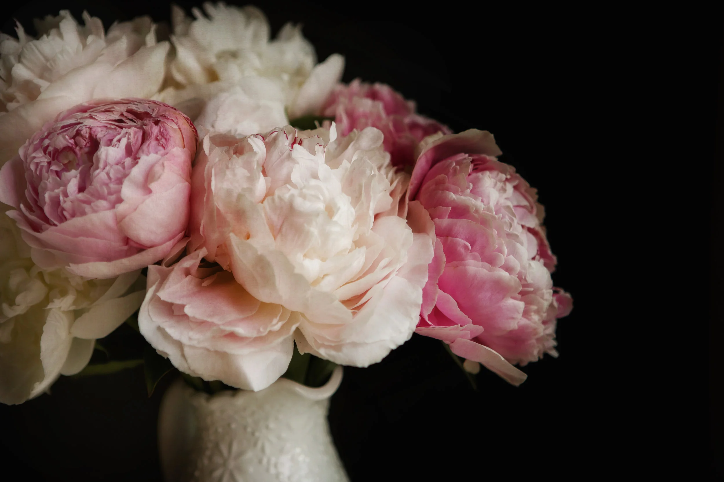 Sweet Peonies