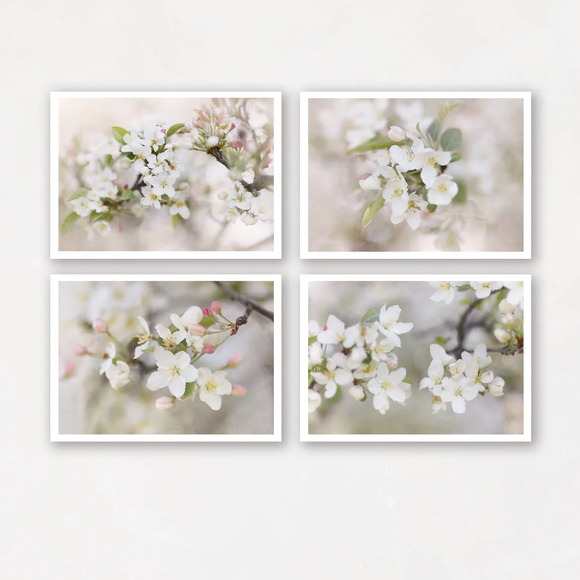 shabby chic fine art print set