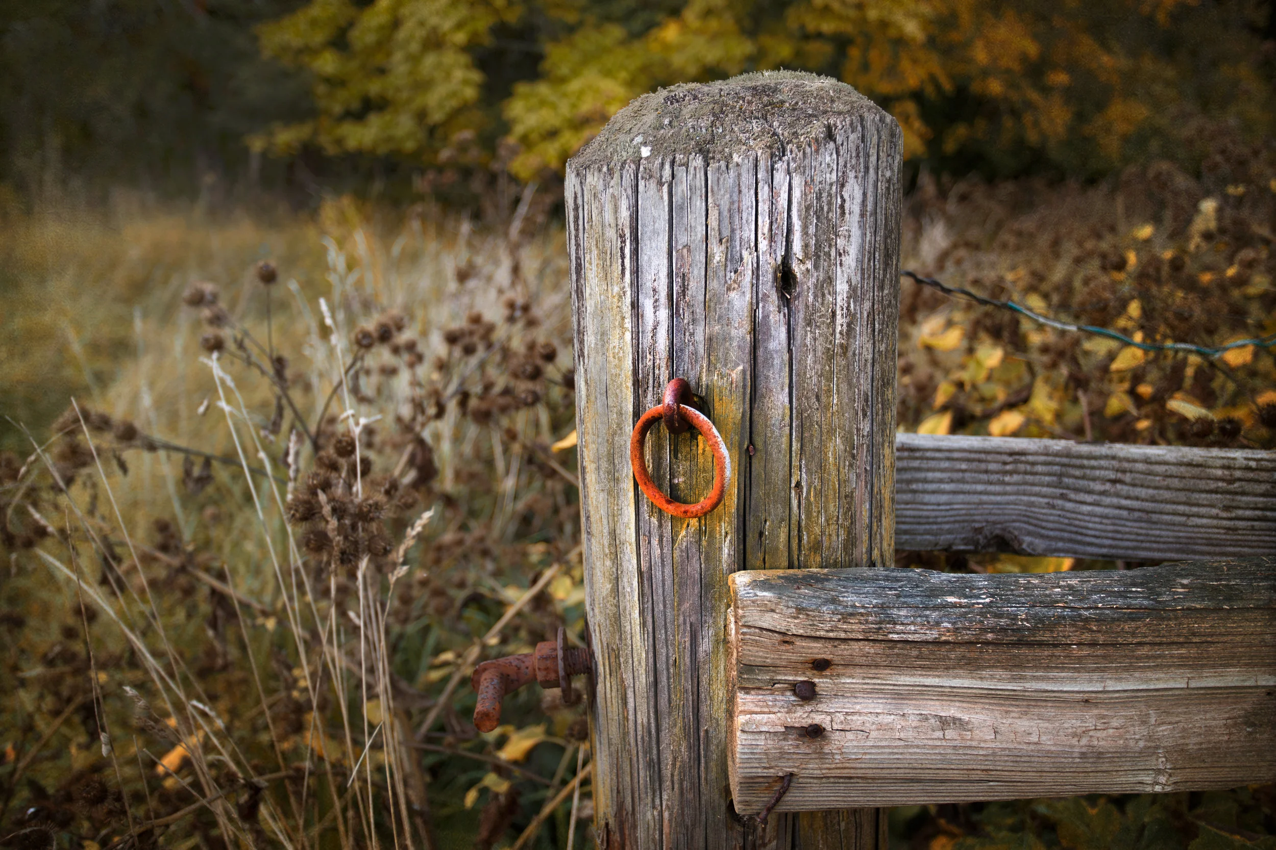 Rustic wall art, rustic decor, rustic print