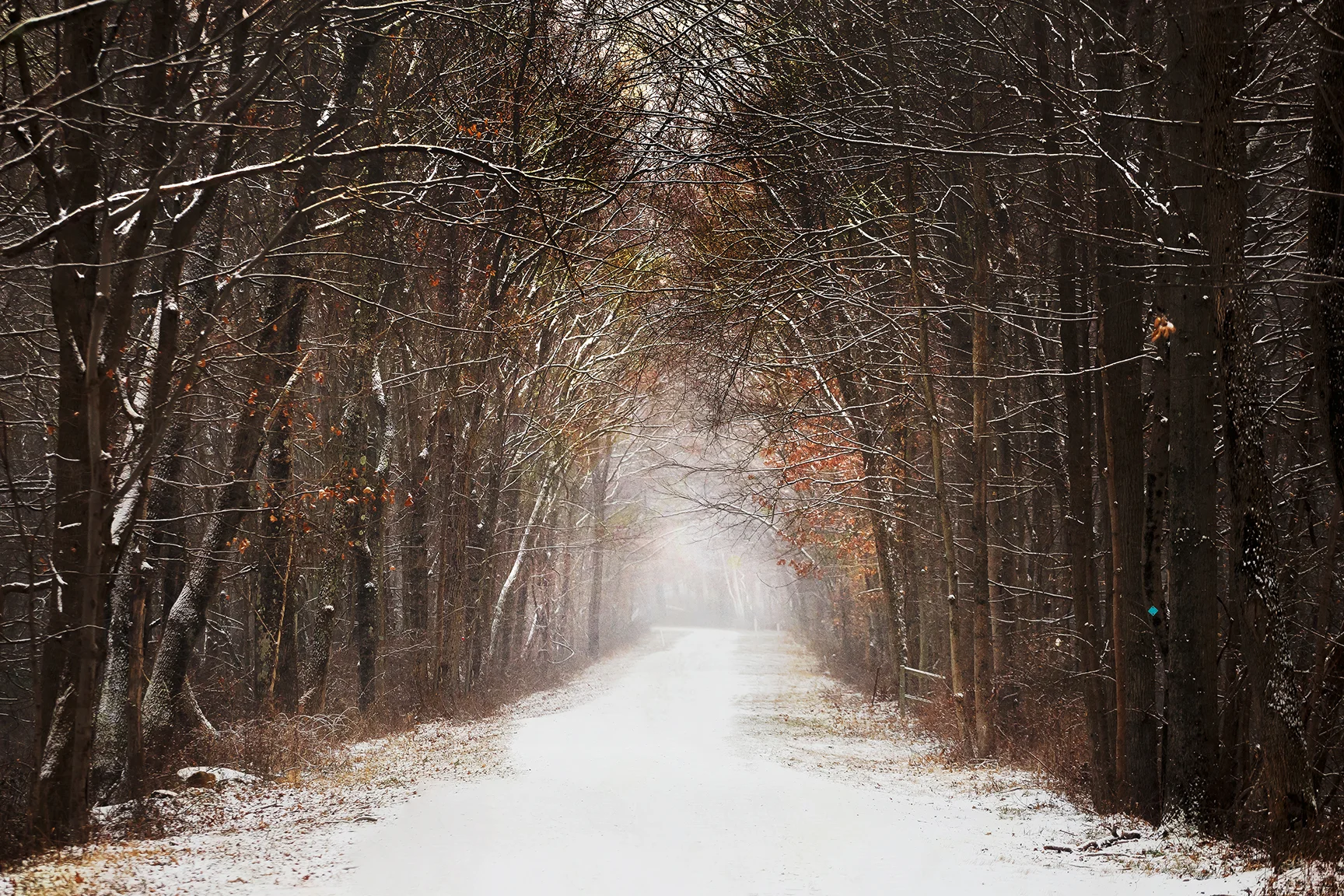 Winter path art print, landscape decor, rustic winter decor
