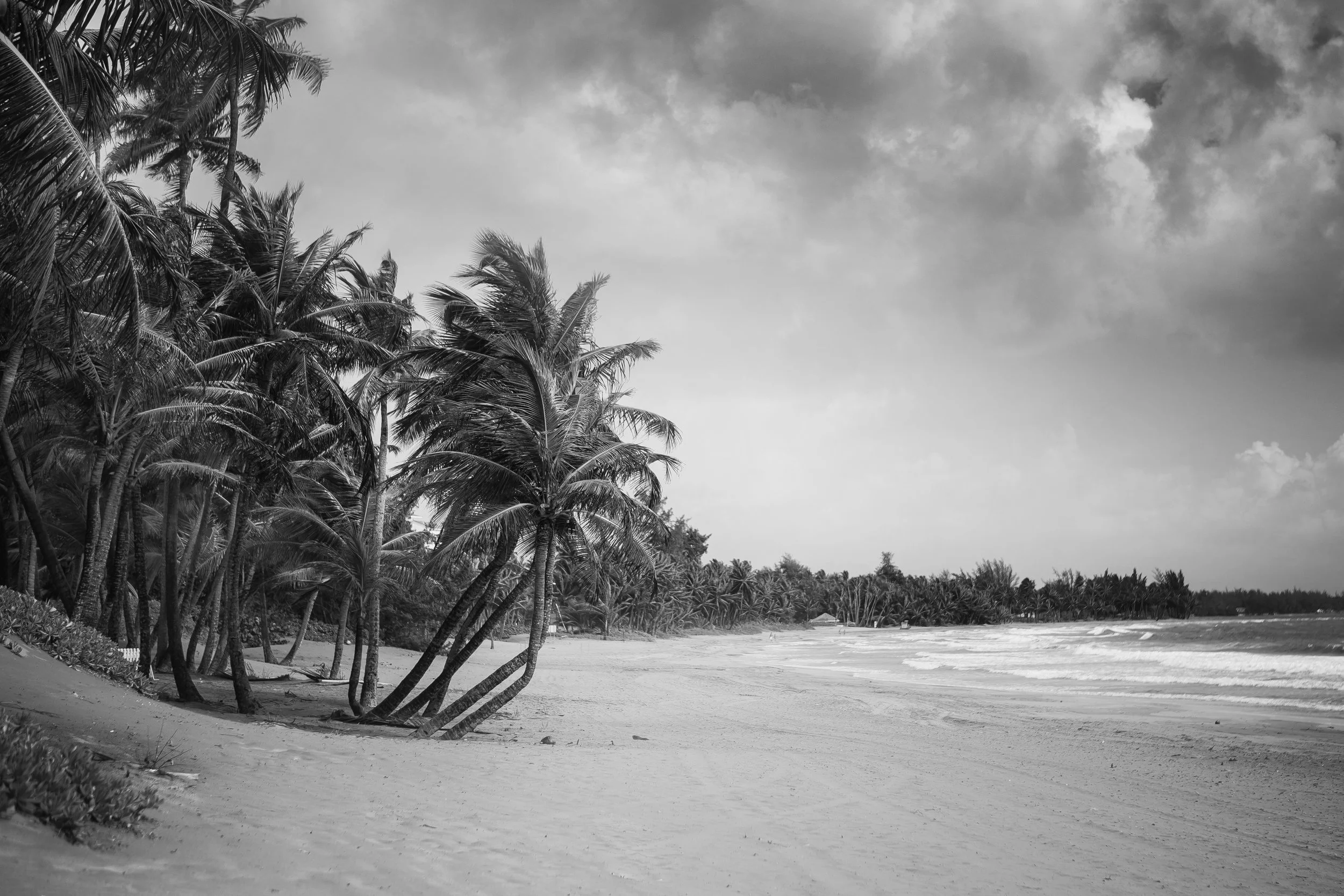 IMG_2662bw.jpg