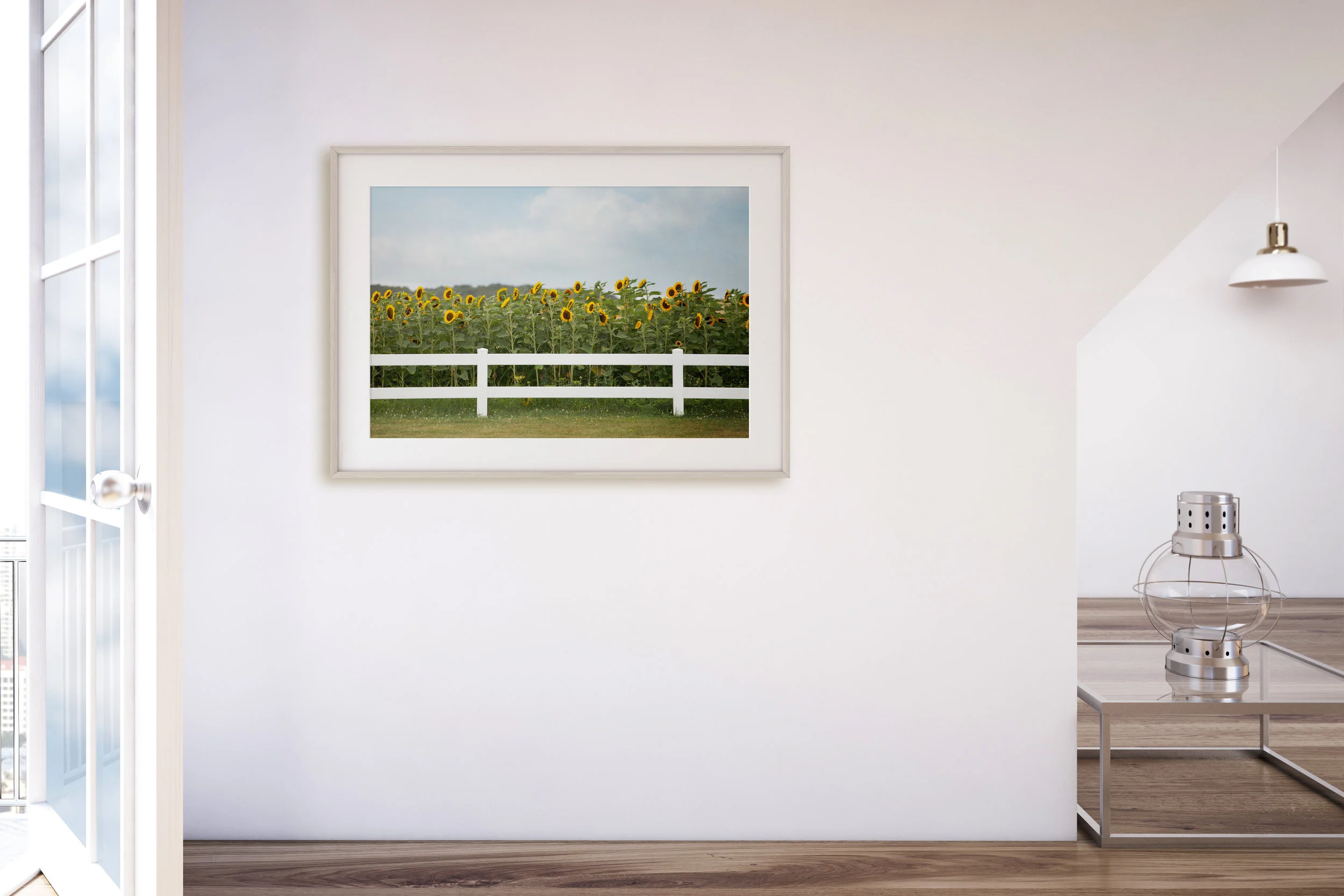 Sunflower prints, sunflower art for your home