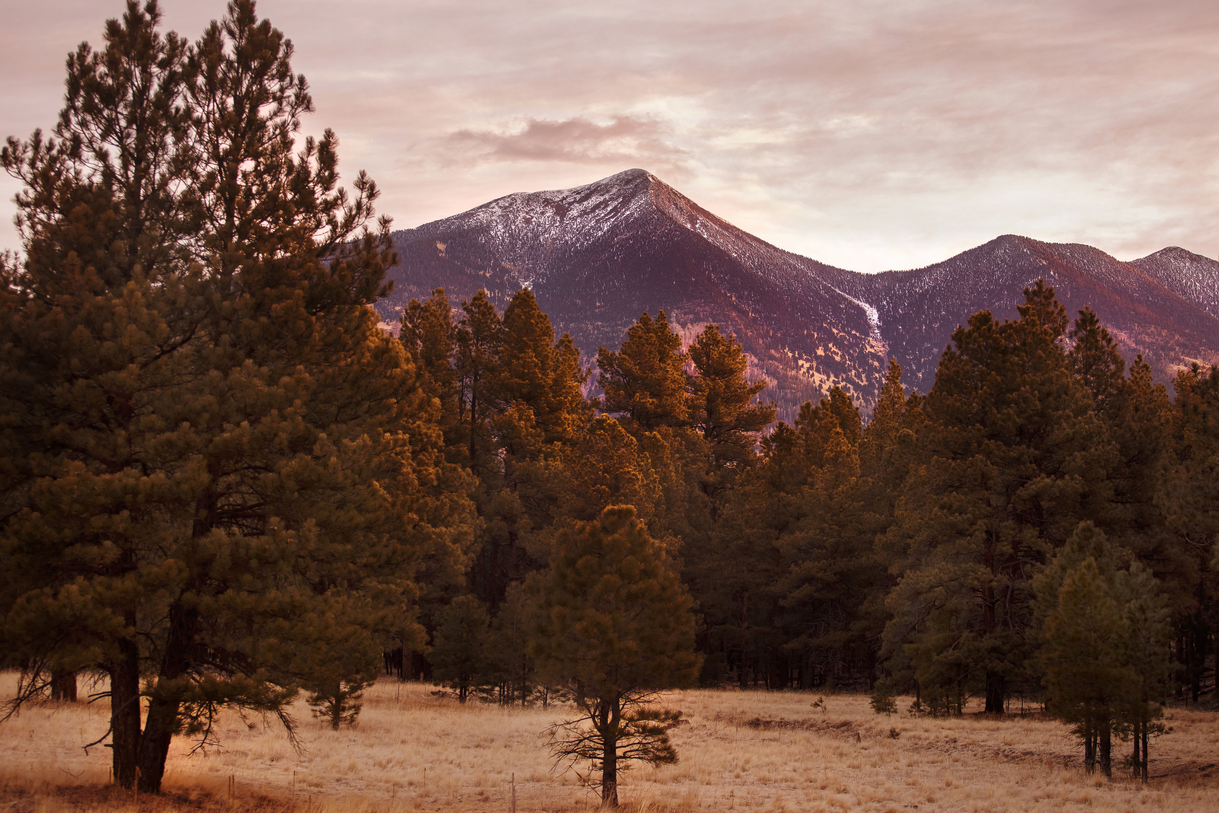 Mountain landscape photo, Arizona wall art, mountain cabin decor,  rustic home