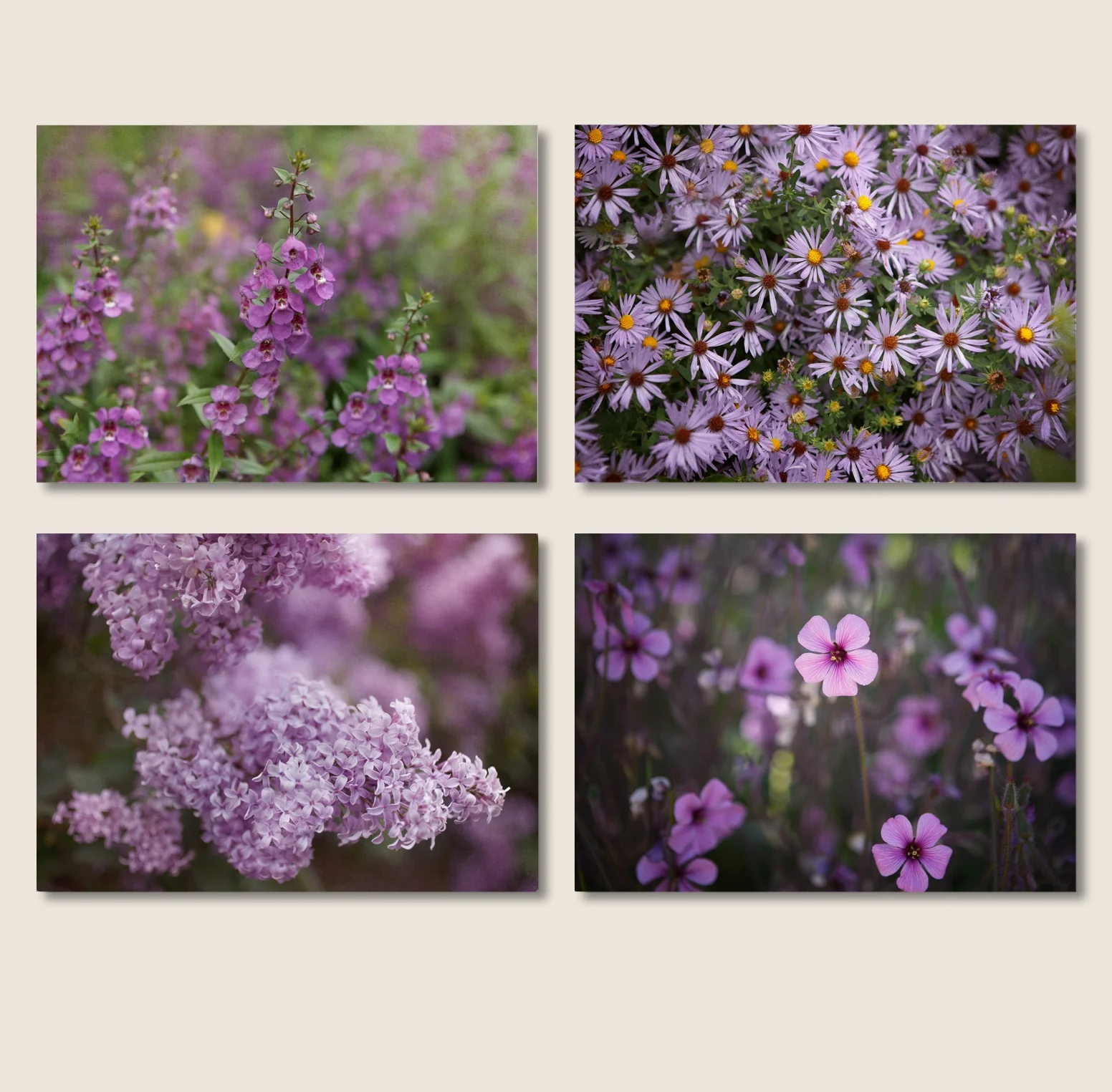 Purple Wall Decor, Set of 4 Purple Prints