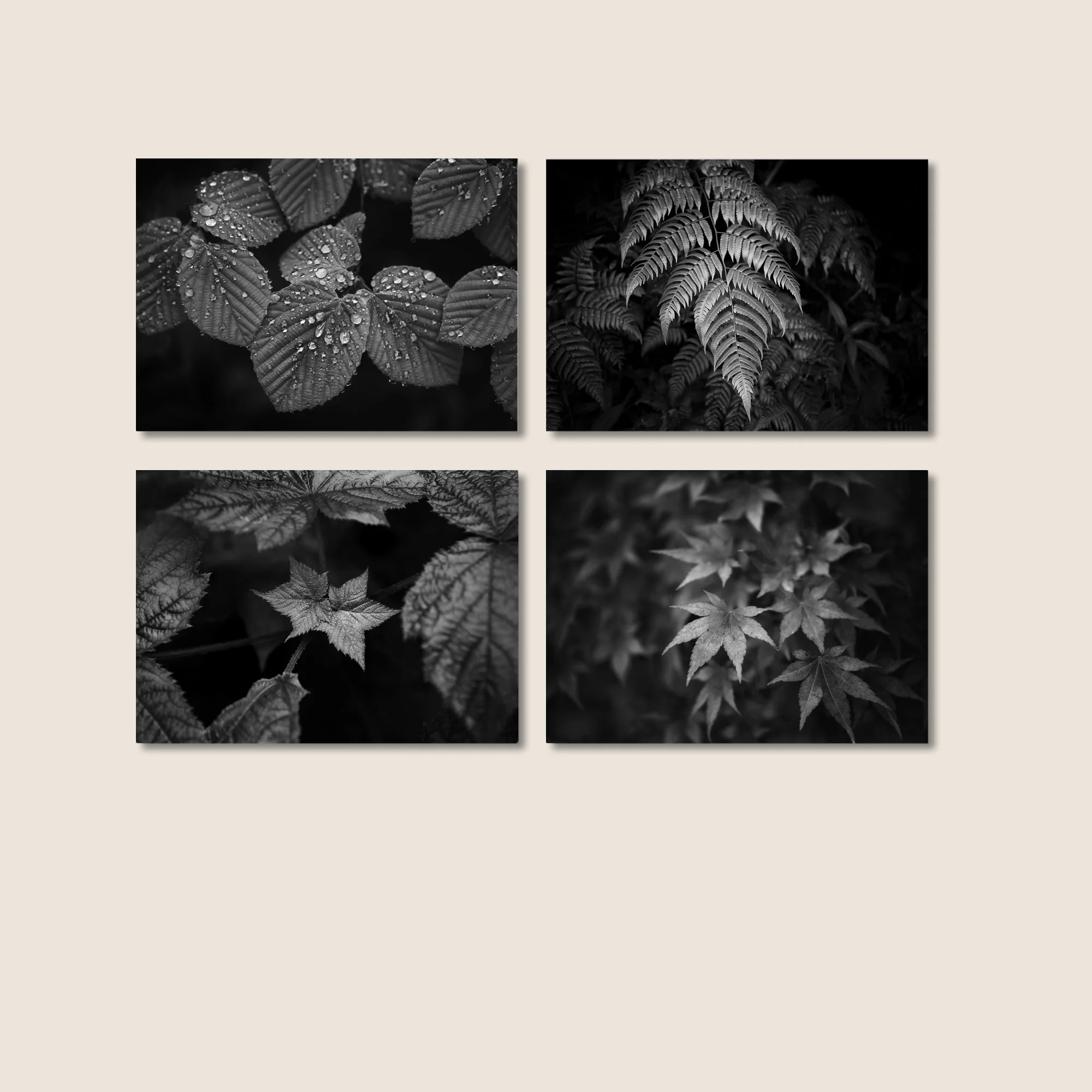 Black and White art Print Set