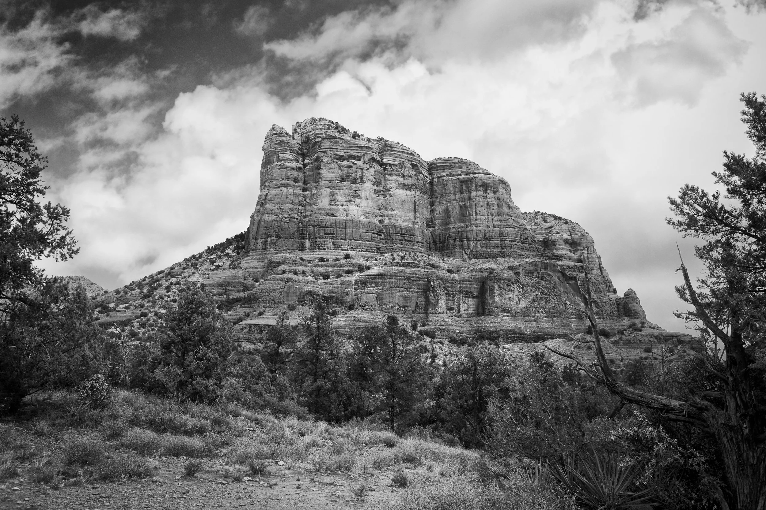 Sedona Wall Art, Black and white desert decor