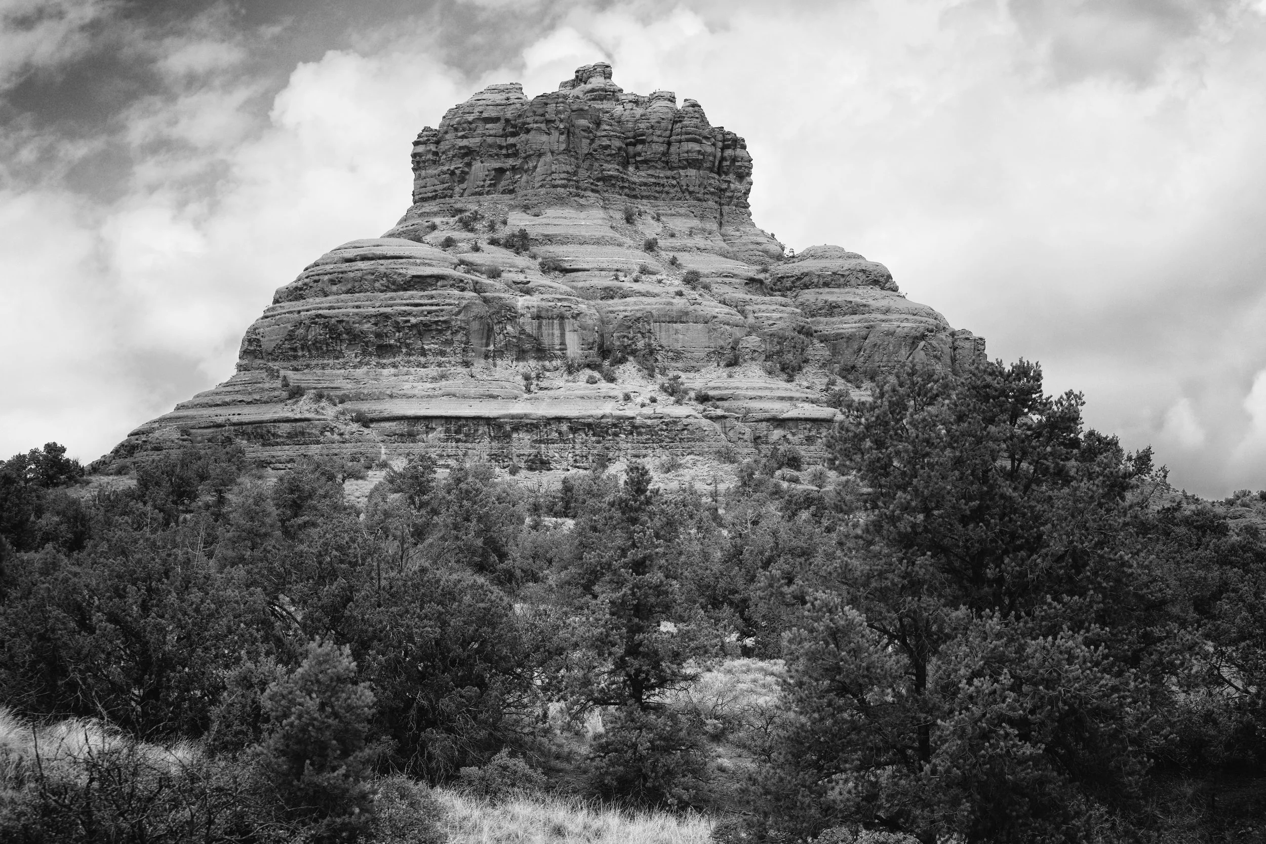 IMG_0124bw.jpg