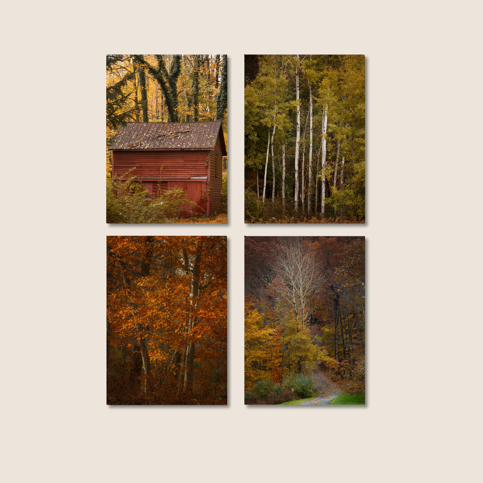 Red and Gold Landscape, Autumn Rustic Decor