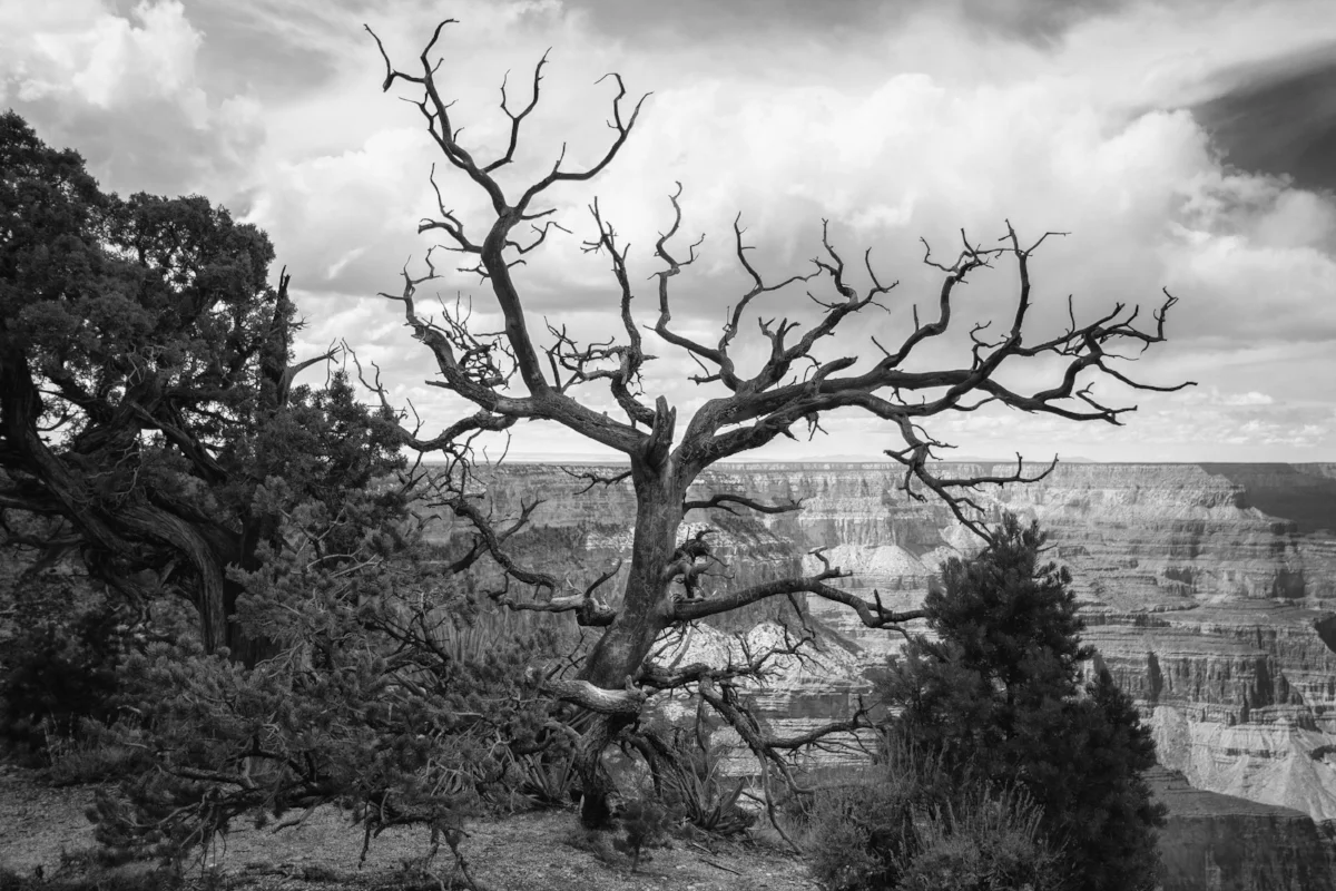 Art for the Traveler, Masculine Wall Art