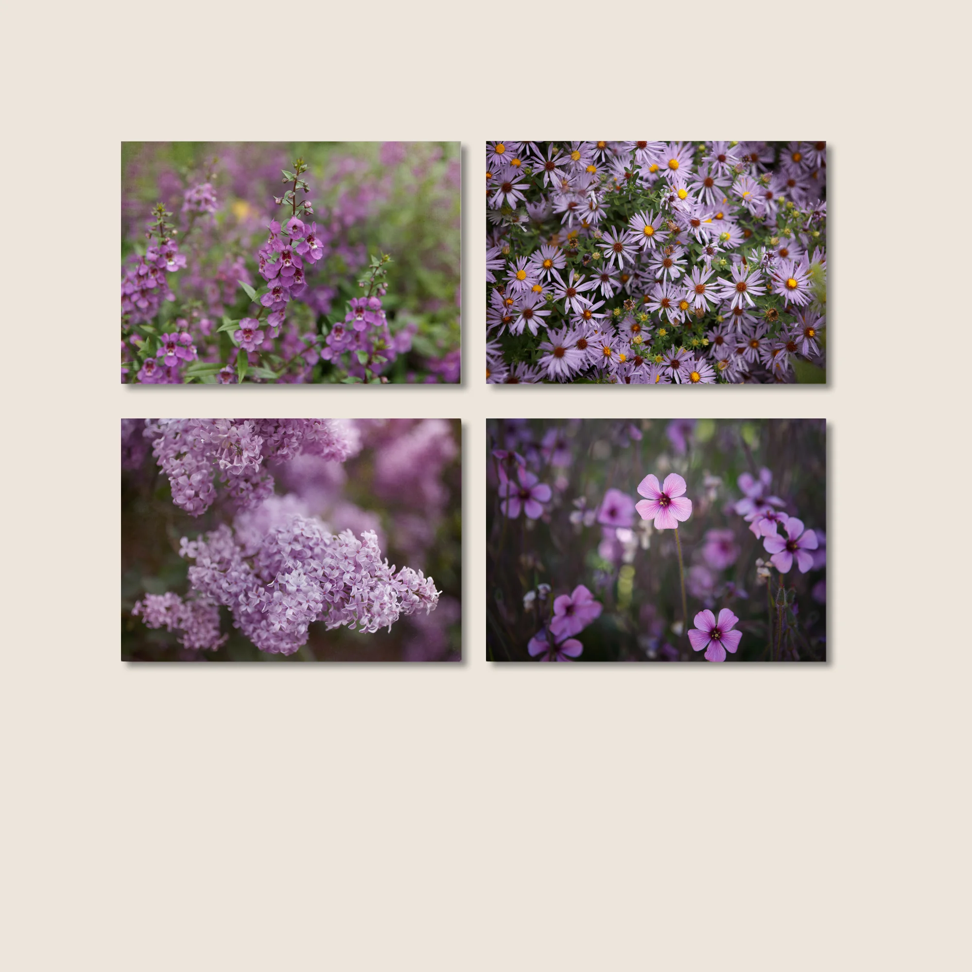 The Violet Hour - Set of 4 Prints, Purple and Violet Hues