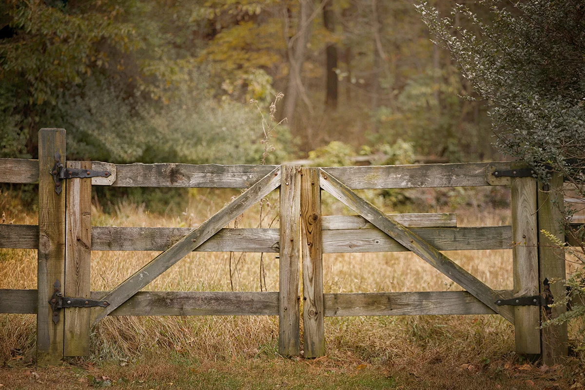 Rustic fence print