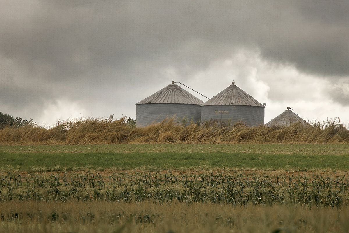 Rustic Country Image