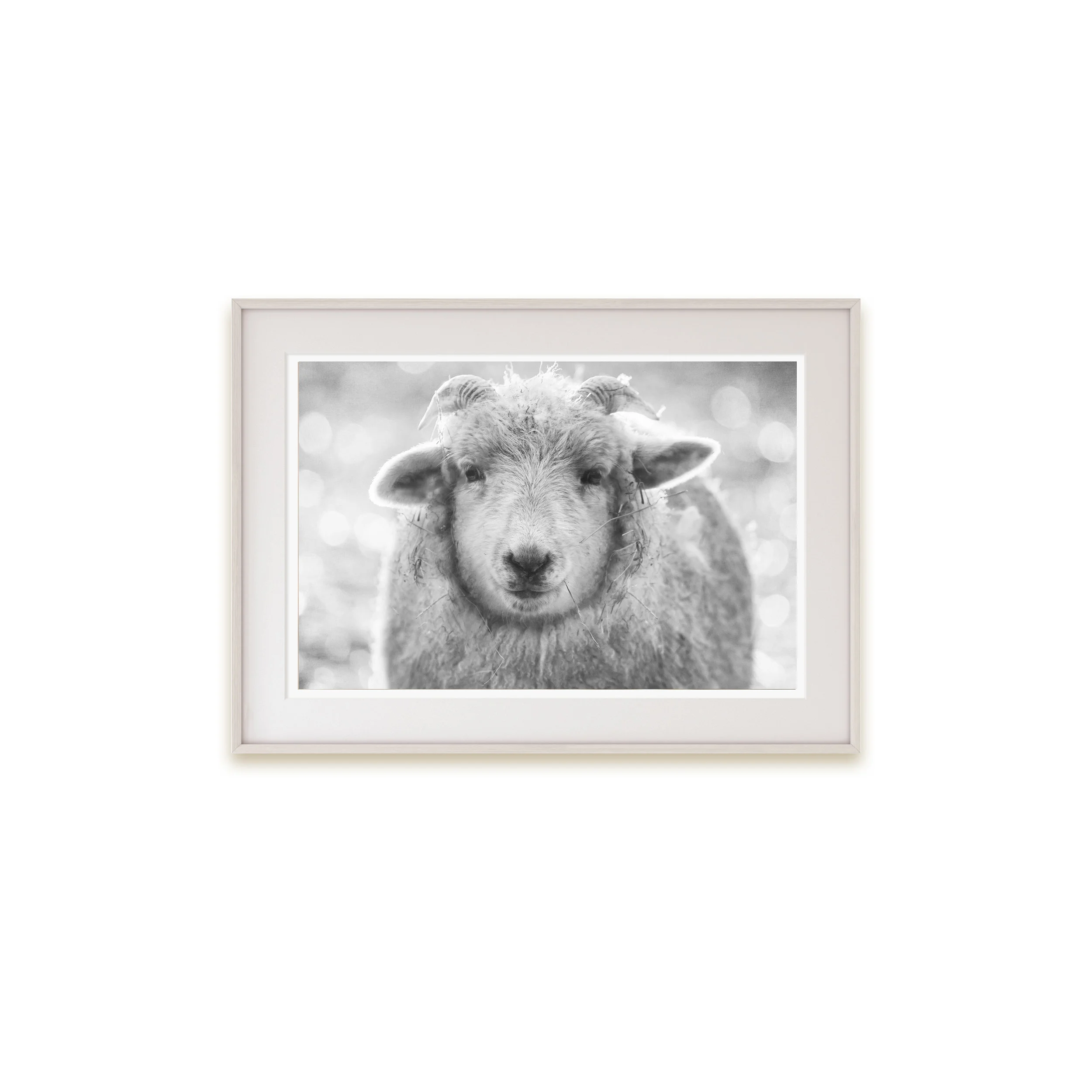 A happy sheep print (who doesn’t love a sheep print?!)