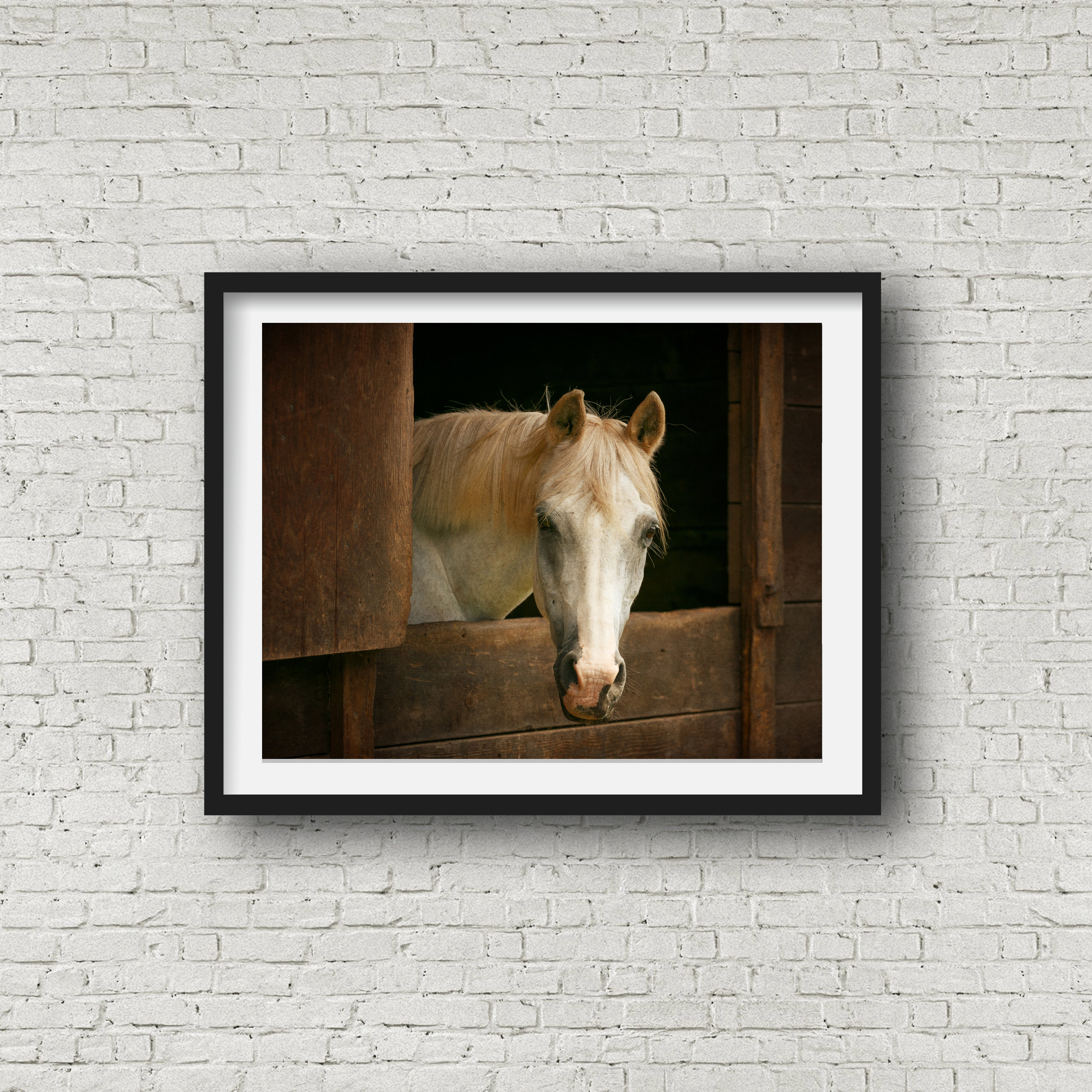 Brickwall-horse.jpg