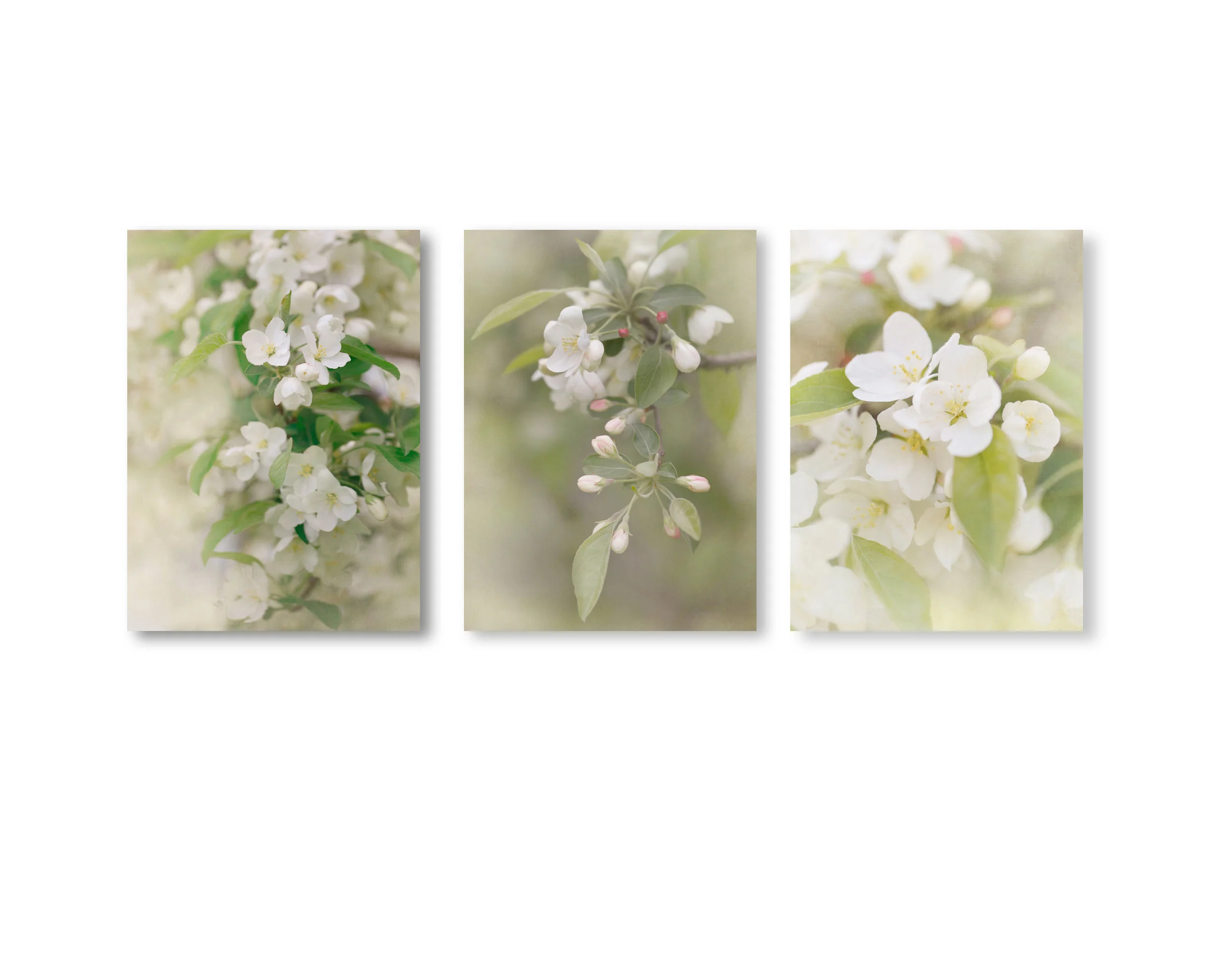 Set of 3 Soft Floral Prints