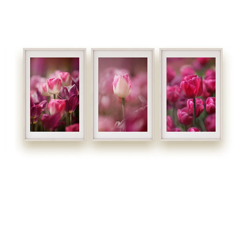 brighttulip.jpg