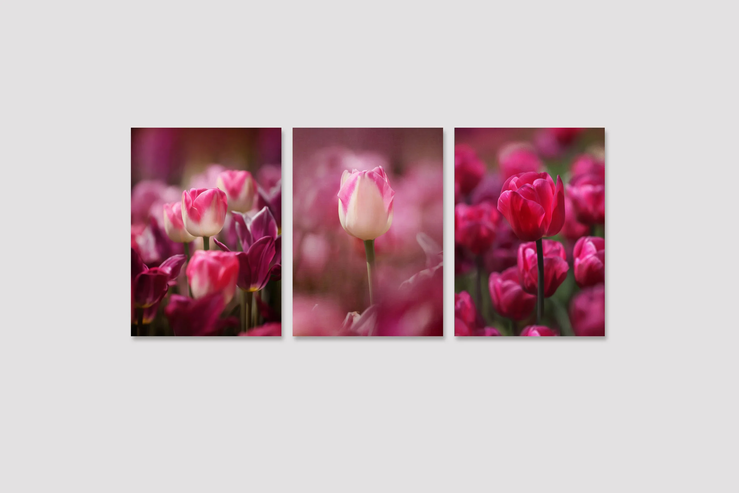 Set of 3 Tulip Prints, Bright Pink Wall Art